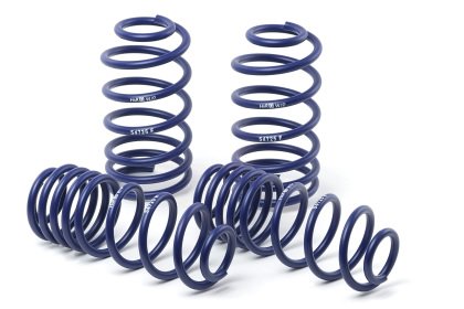 H&R_lowering_spring.jpg