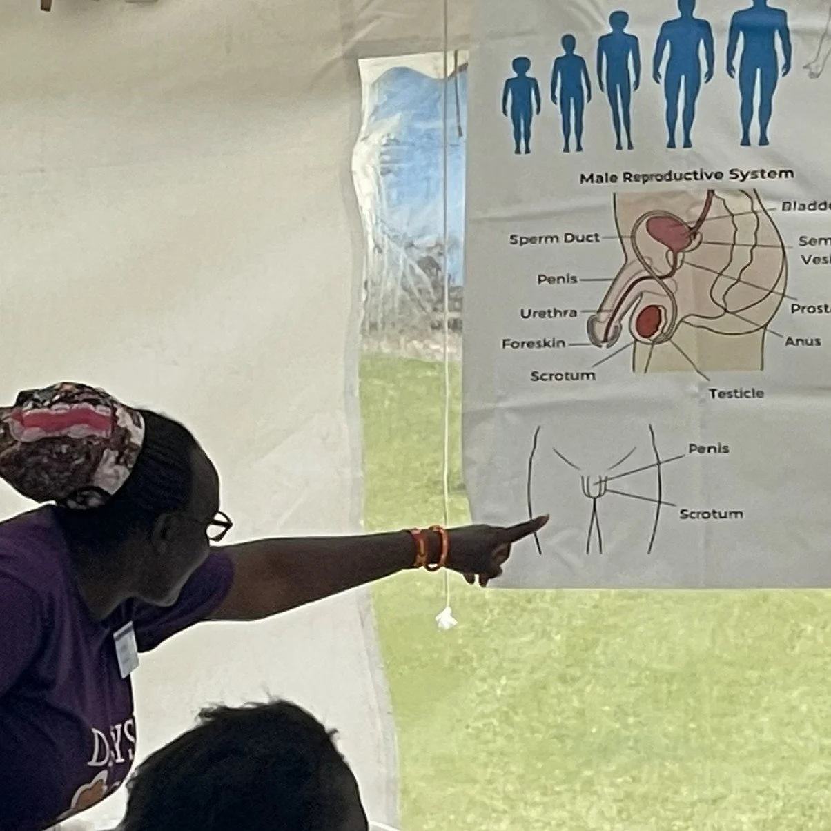 Healthy Bodies Presentation Graphic