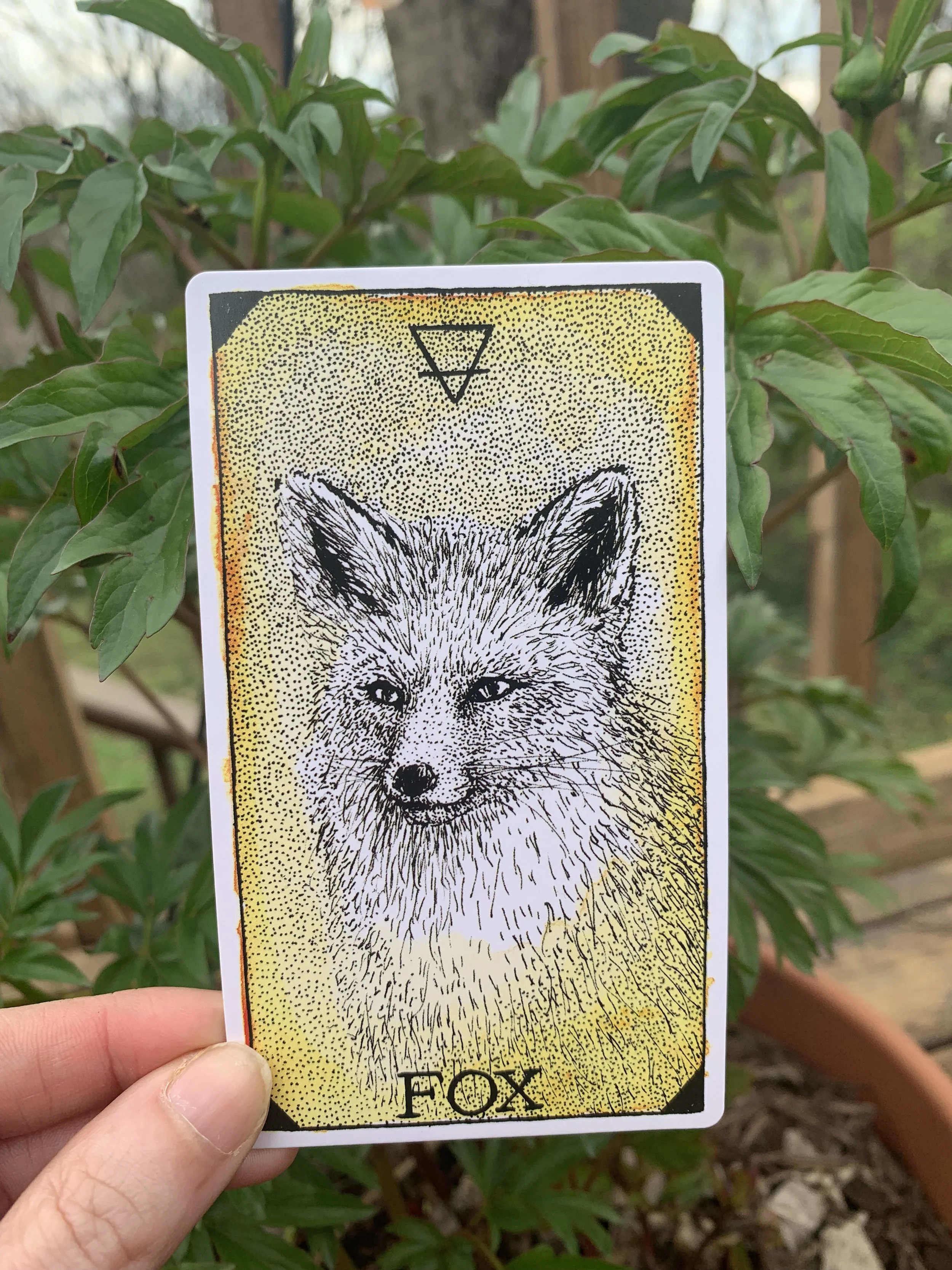 Episode 14: Resilience in Dreams with Sara Schuster