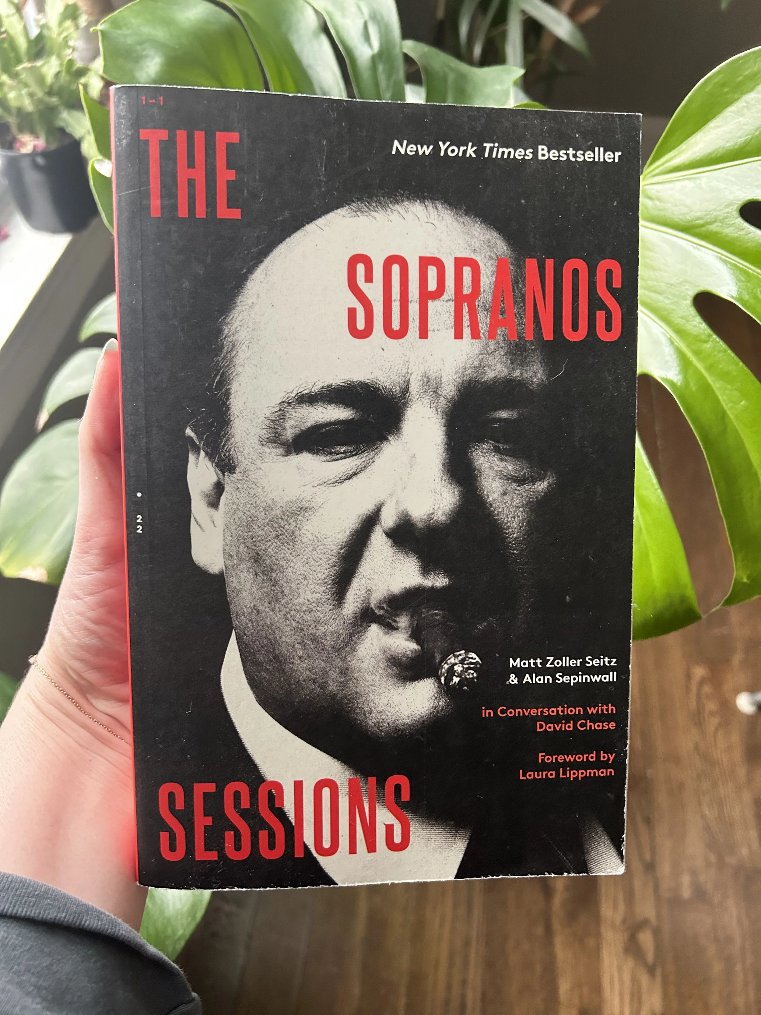 Episode 26: Iconic Dream Sequences: The Sopranos