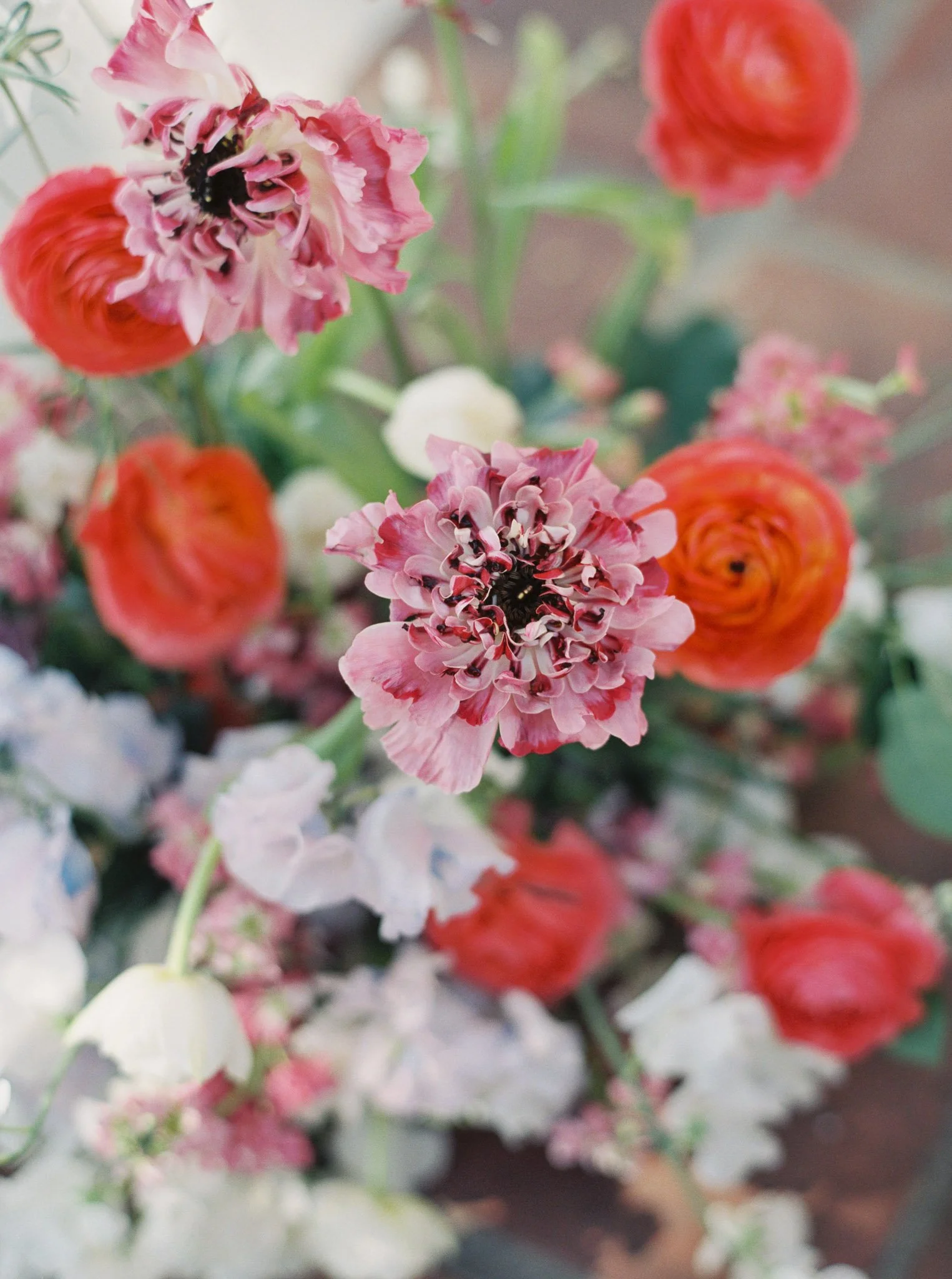 Presidio-Park-Wedding-21.jpg