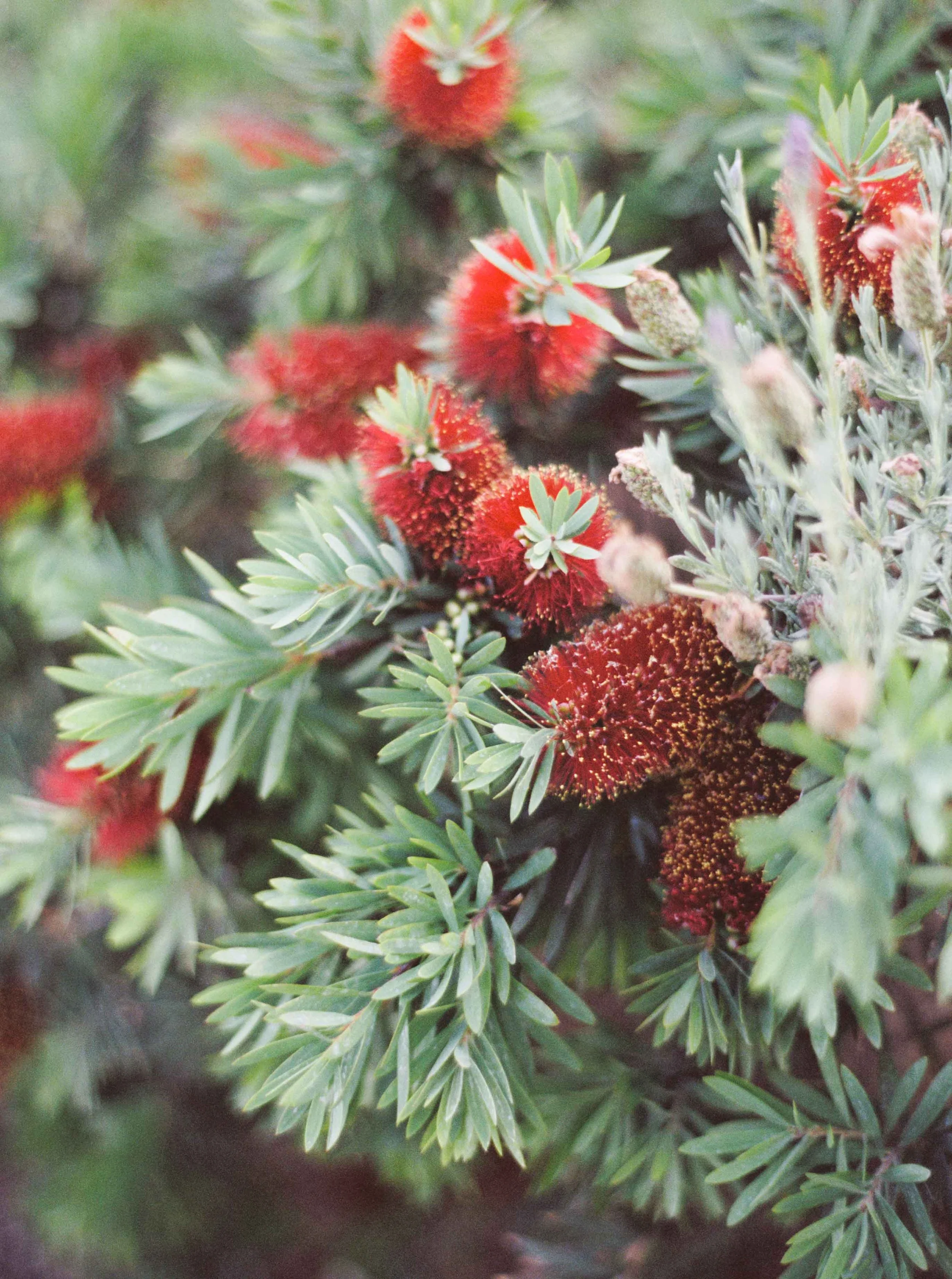 11616_13.jpg