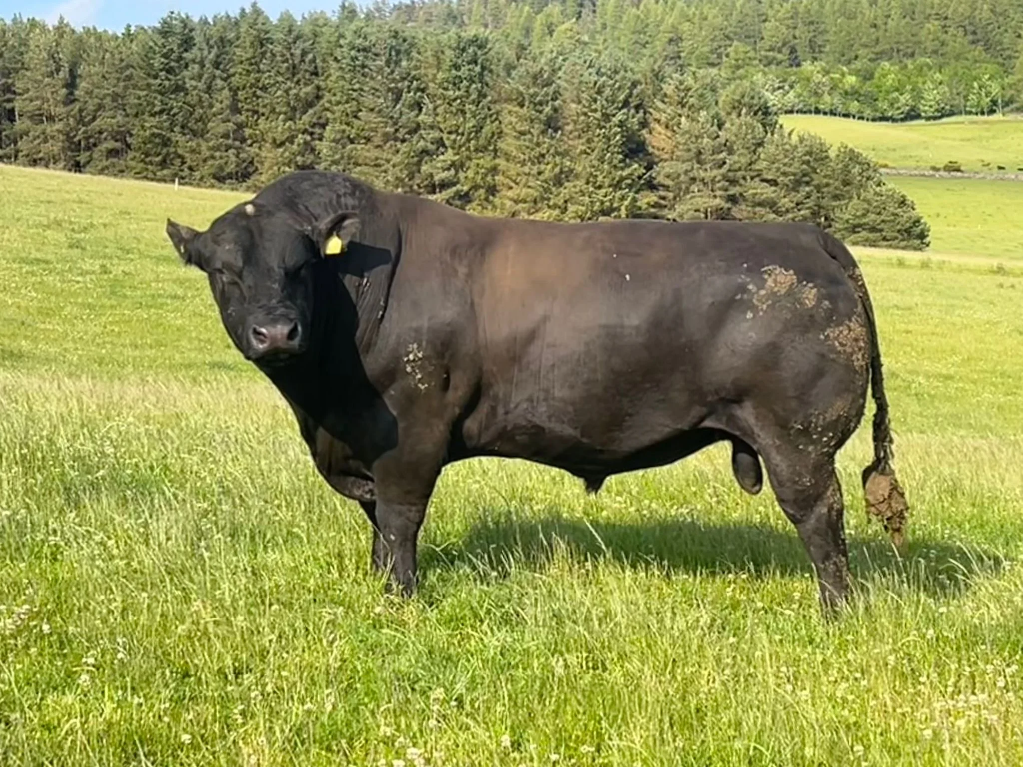 WhatsApp Image 2025-06-22 at 22.01.57_d5d220cd.jpg