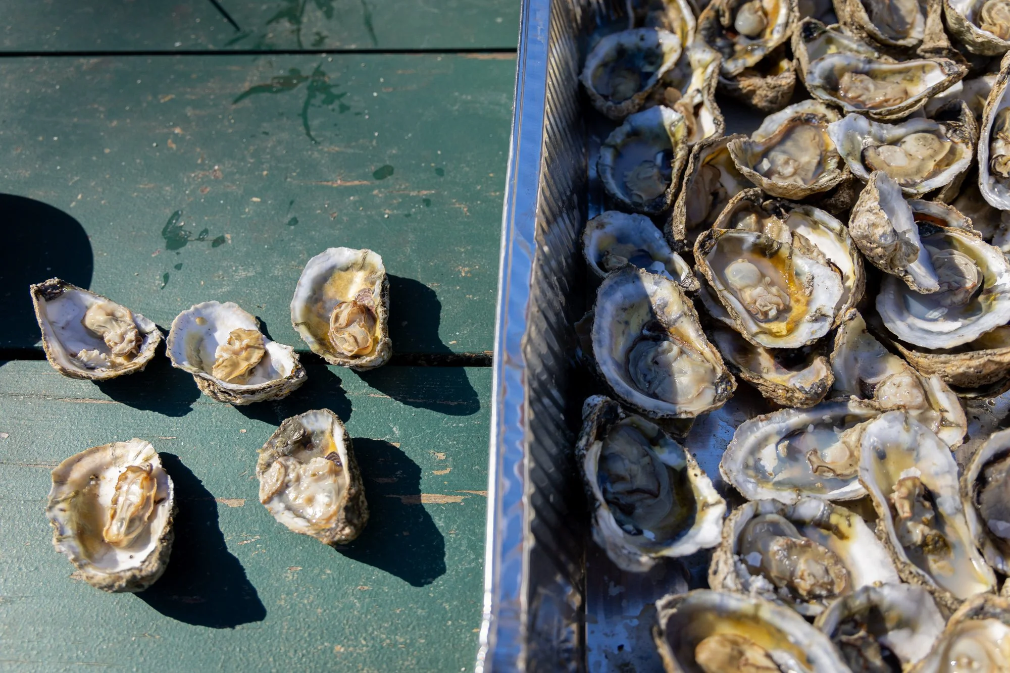 BatterseaOysterRoast2024Share-6.jpg
