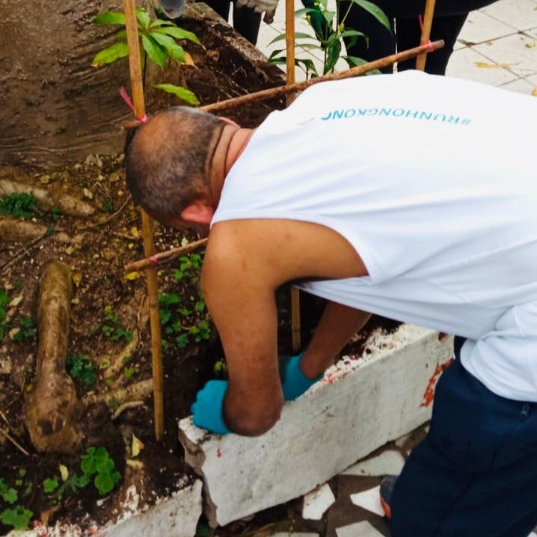 🌱Farming🌳
. . .
RUN is fortunate to be filled with its fair share of green thumbs, including our Education Operations Assistant, Diego Delgado, who is now leading our Monday gardening group at Tai Tam Tuk Foundation. Participants both there and in 