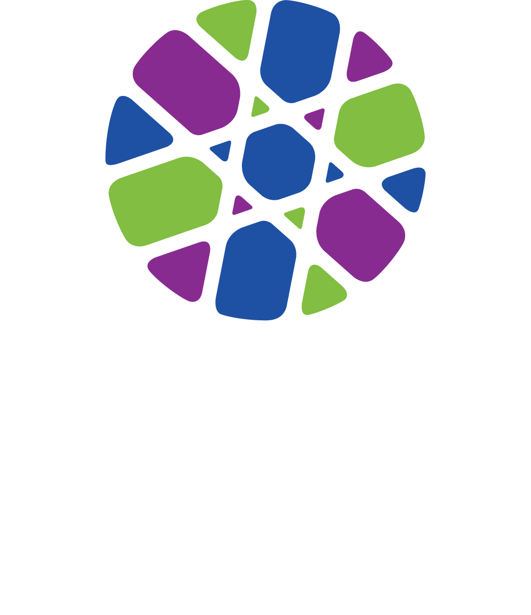 Arnold and Anita Silber Family Foundation logo | Chutzpah! Festival.png