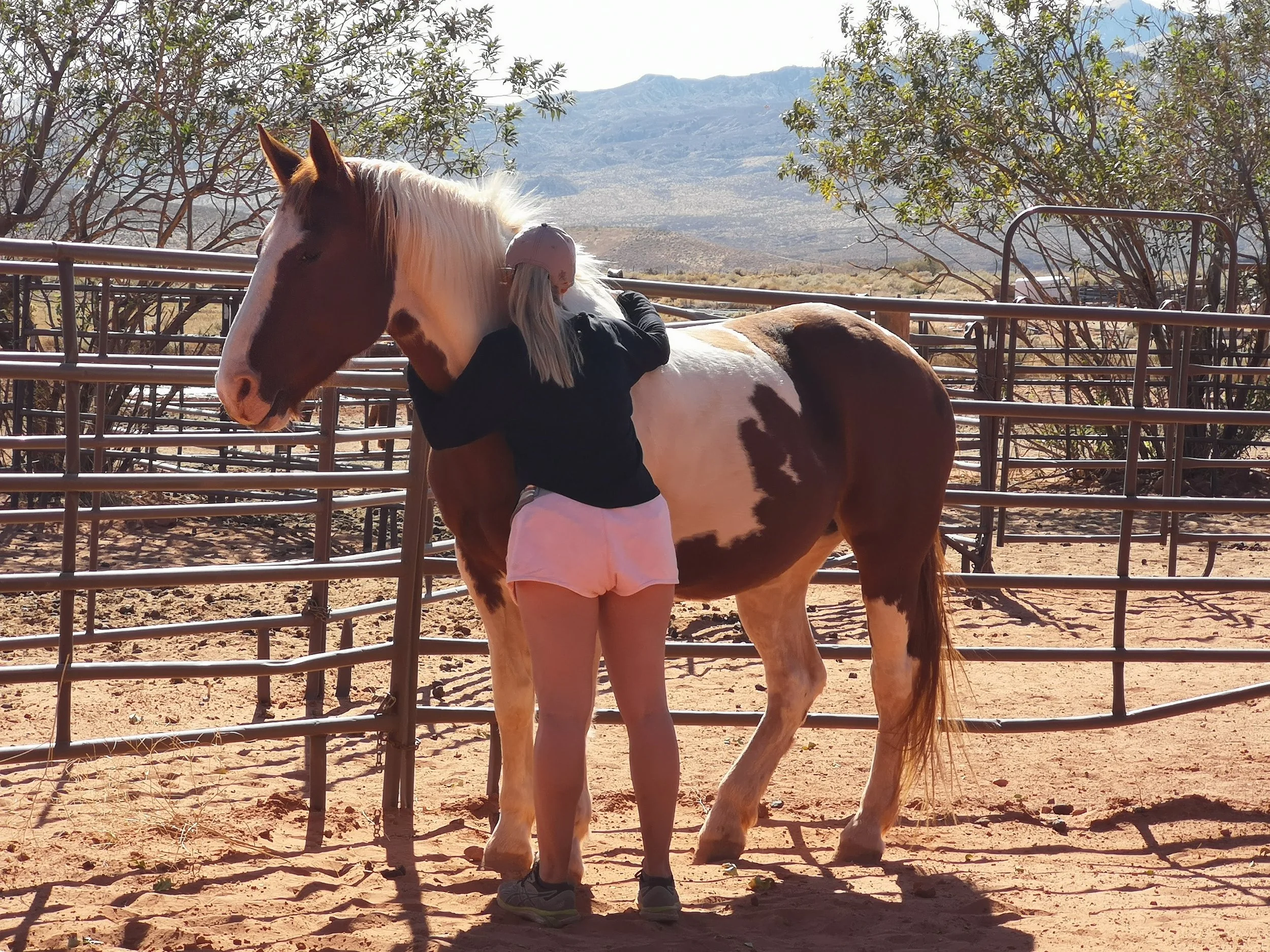 What the Year of the Horse Can Mean For You