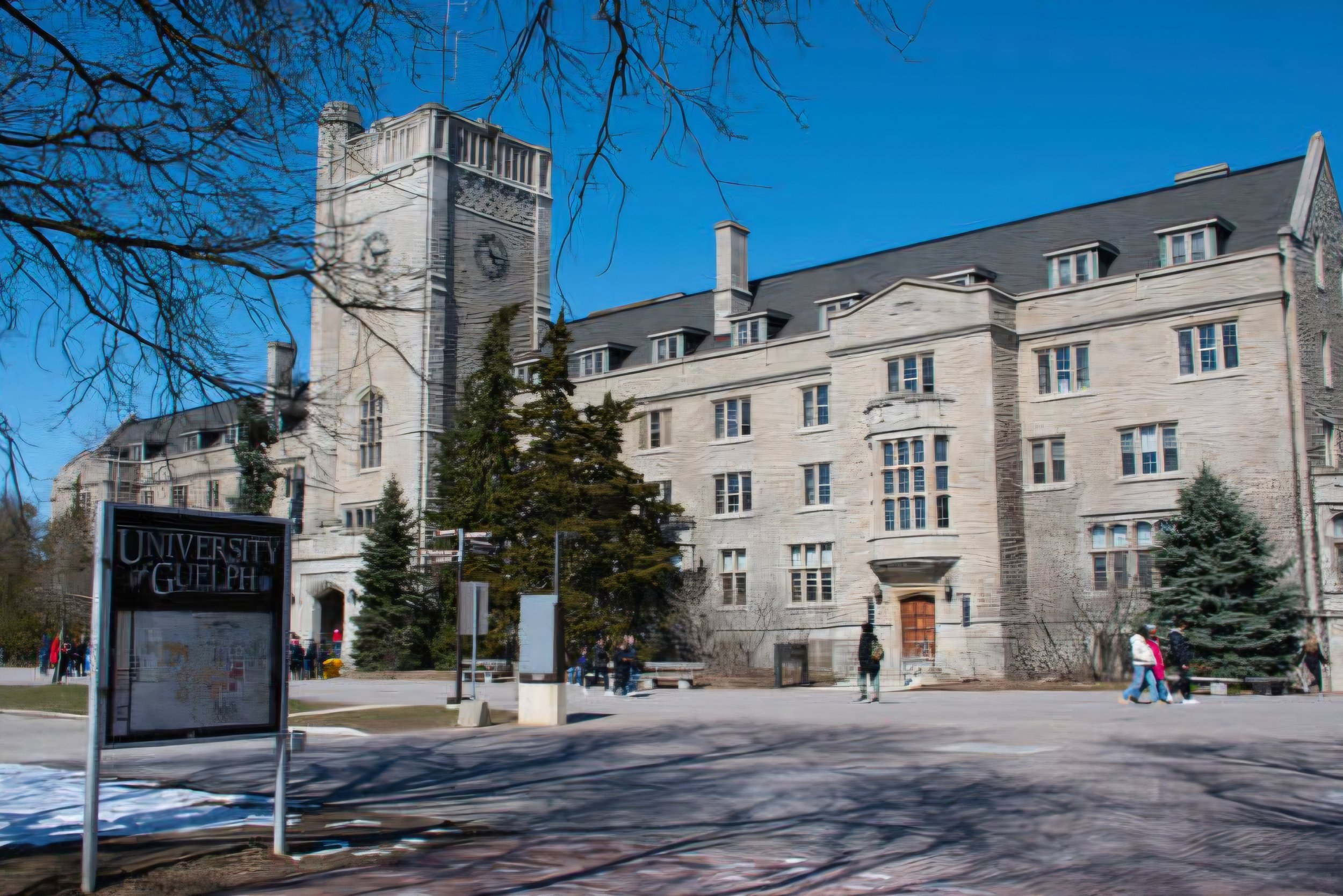 The Mid-Life Shift for Leaders Fearing They Will Become Obsolete