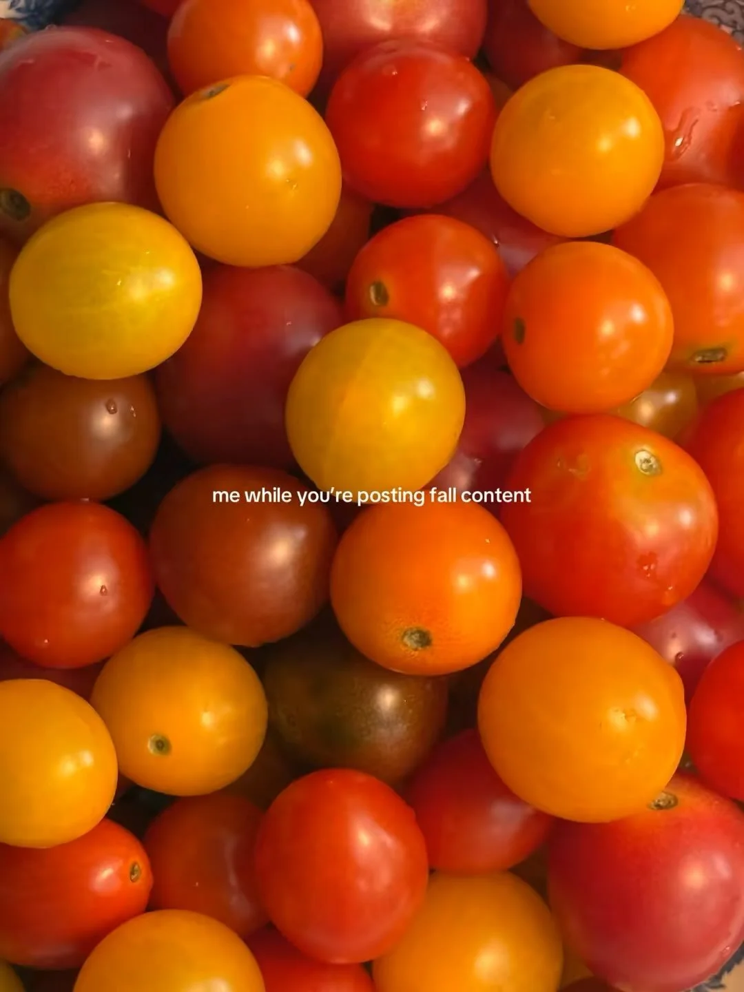 respectively, it&rsquo;s 90 degrees in NC and pumpkins aren&rsquo;t even in season yet #summerrecipes
