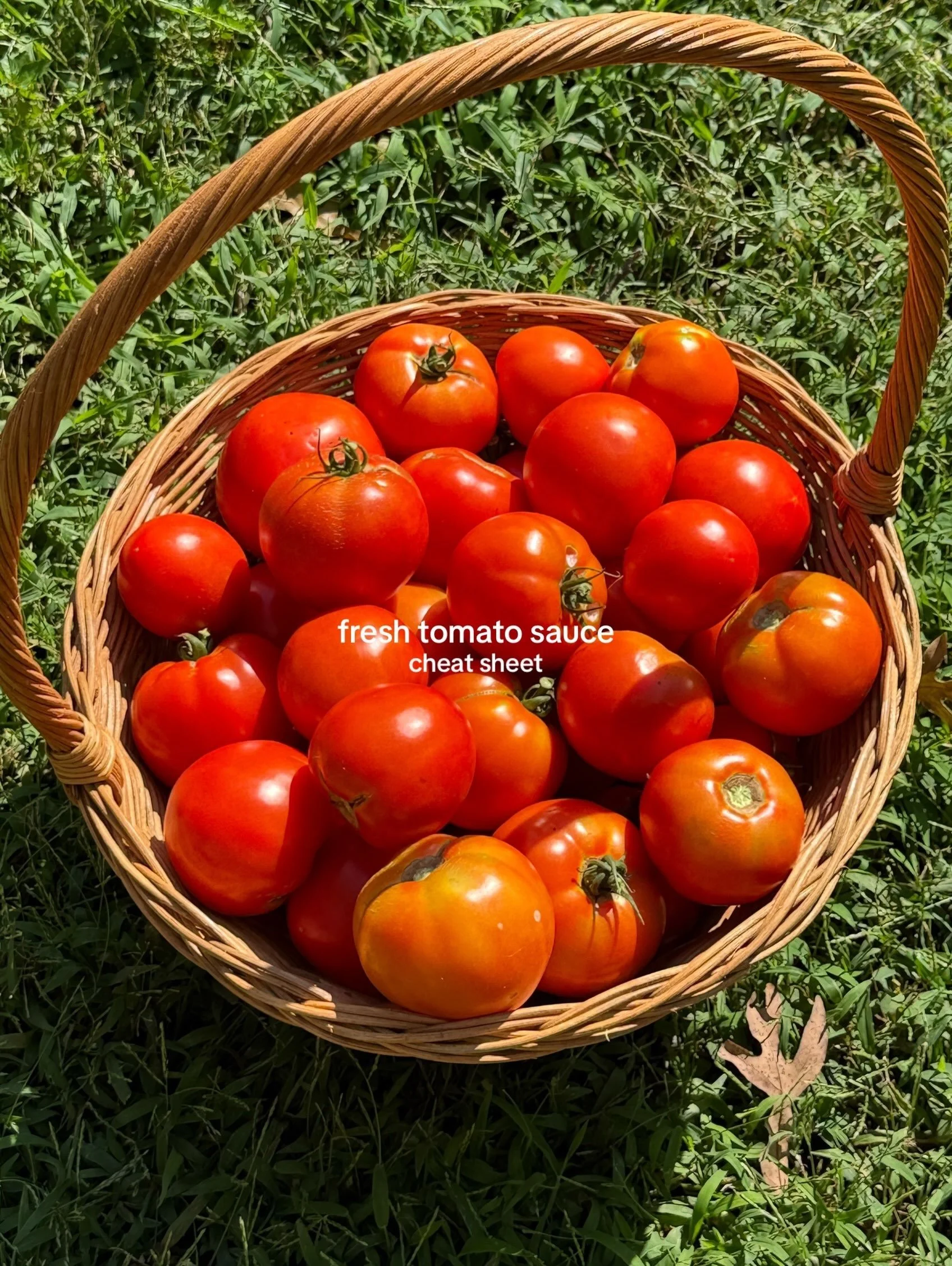 fresh tomato sauce 🍅 cheat sheet! Full tutorial video posted yesterday 
 #tomatosaucerecipe #sundaysauce