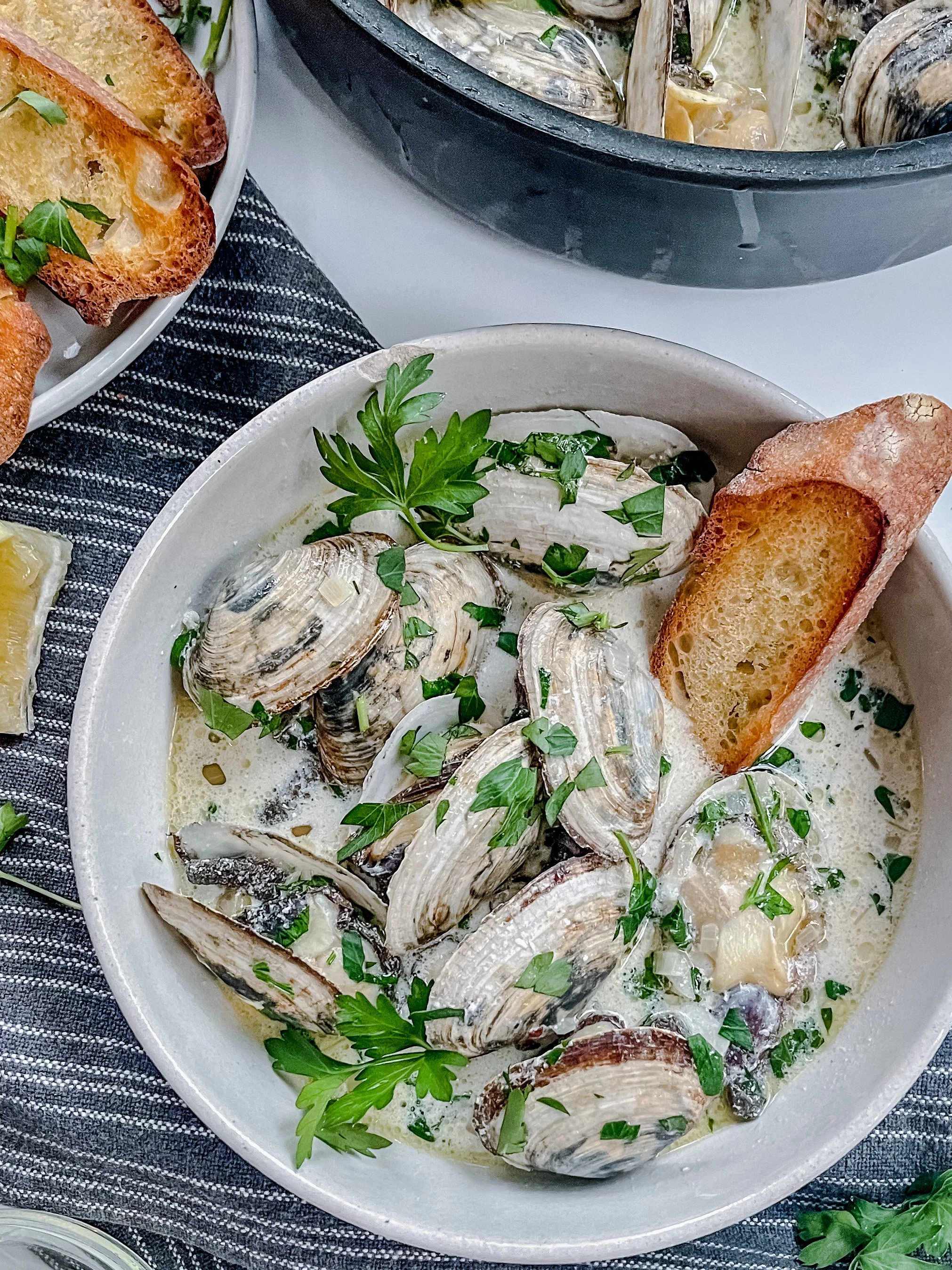 Steamer Clams in Lemony White Wine Cream Sauce — All Types of Bowls