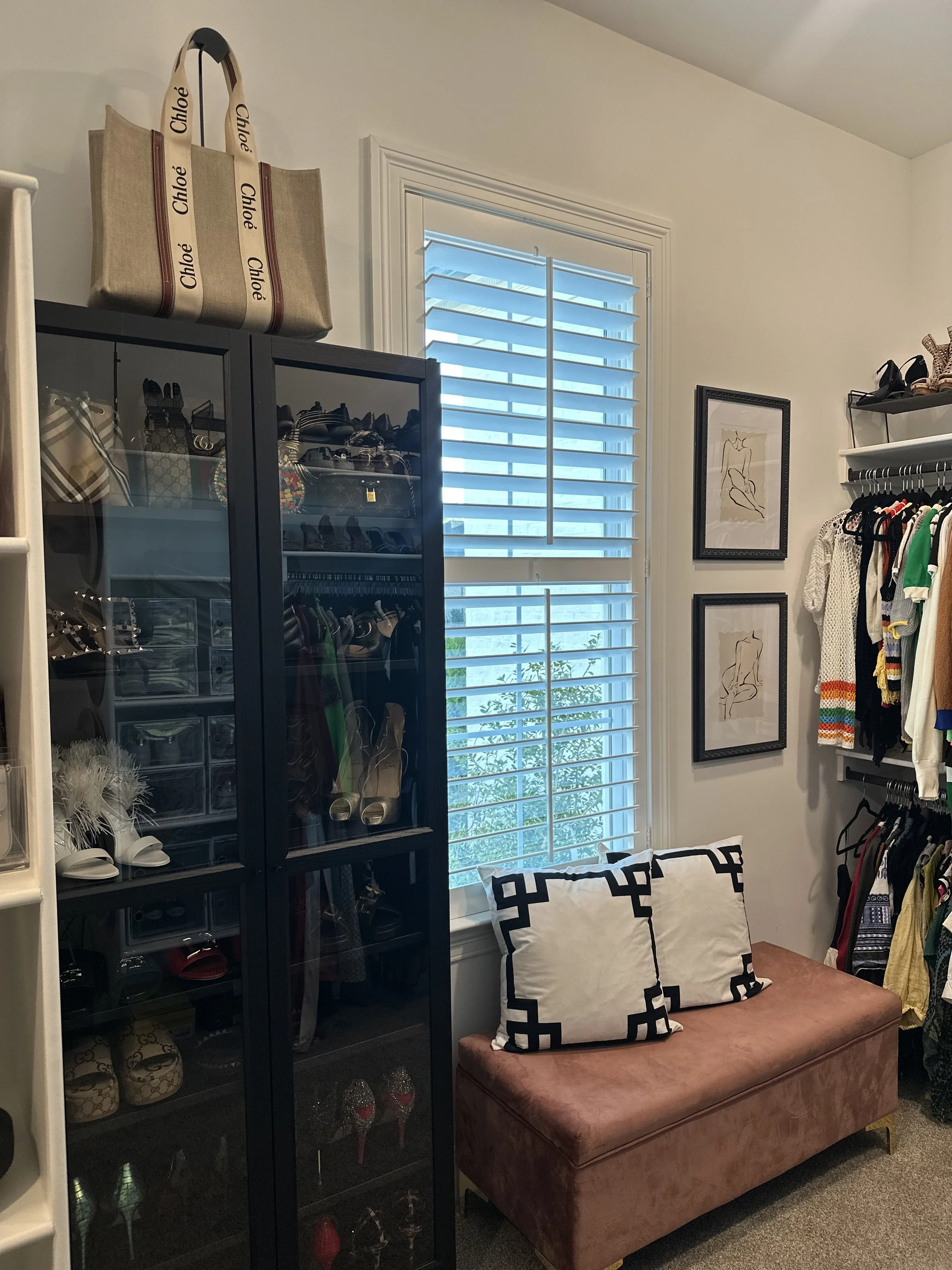 Women's Closet Organization