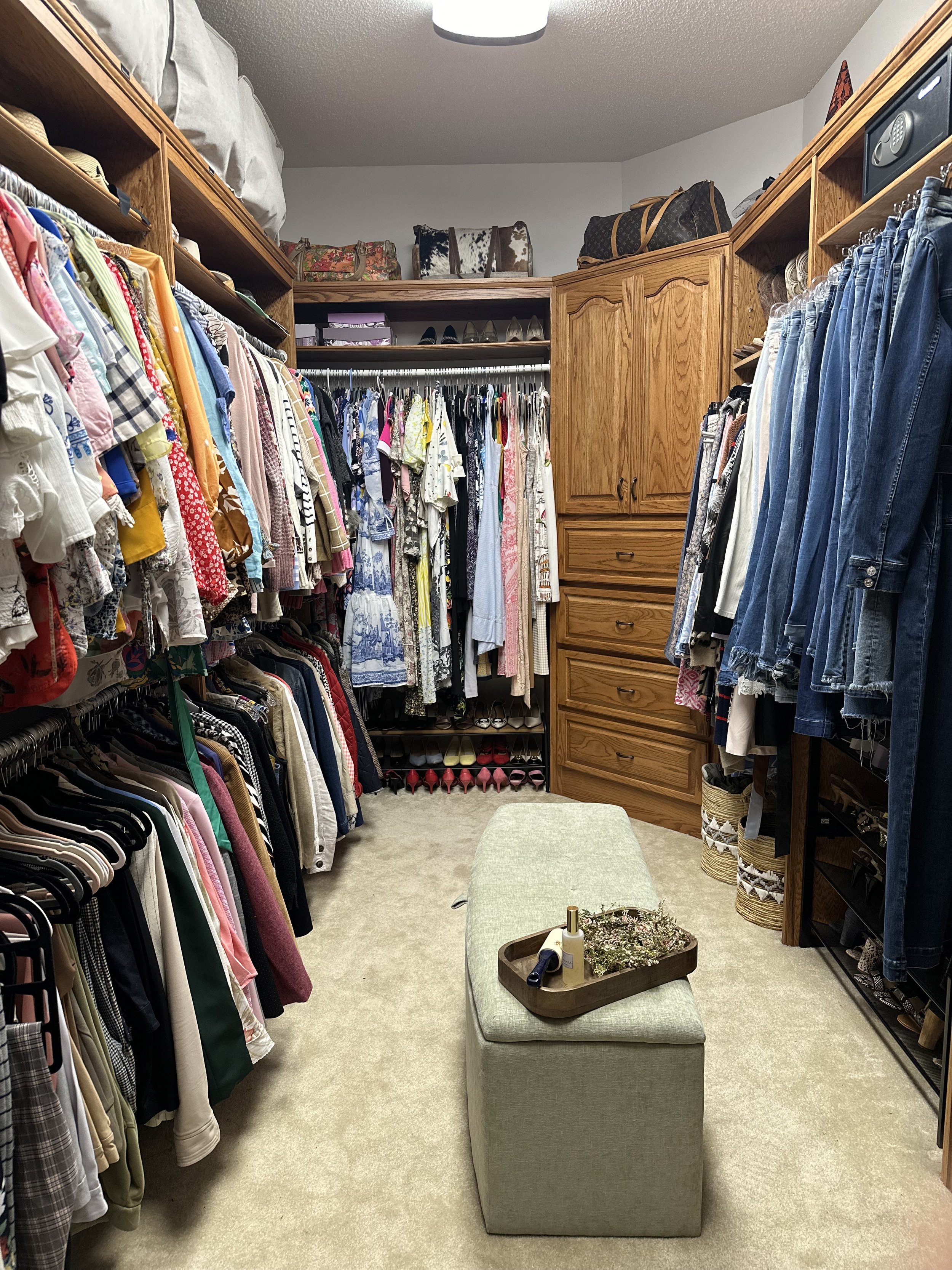 Women's Closet Organization