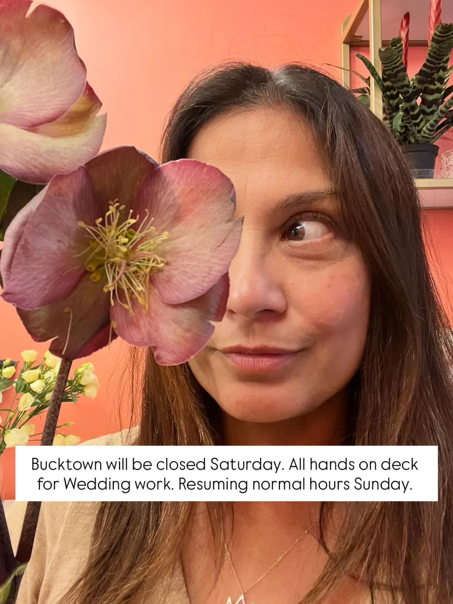 Bucktown will be closed Saturday! We will be working on a beautiful Wedding and need all hands. Apologies for any inconvenience!! We are resuming normal hours Sunday. 🌸❤️🌸❤️