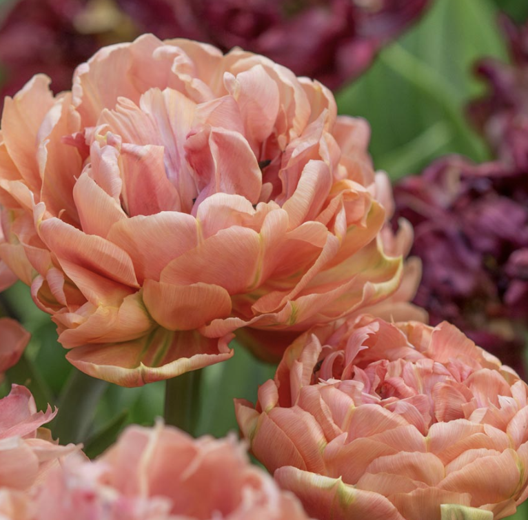 Screenshot 2026-03-13 at 3.05.47 PM.png