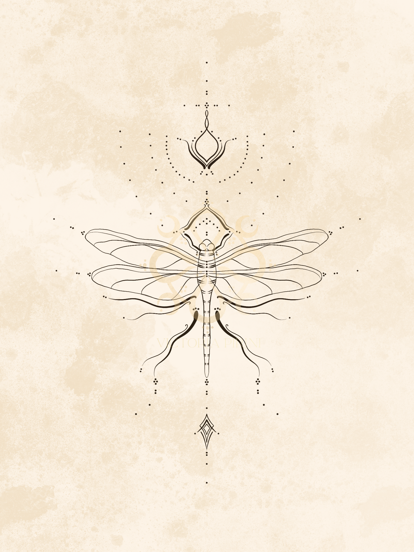 Dragon_Fly_Medicine_Marking.png