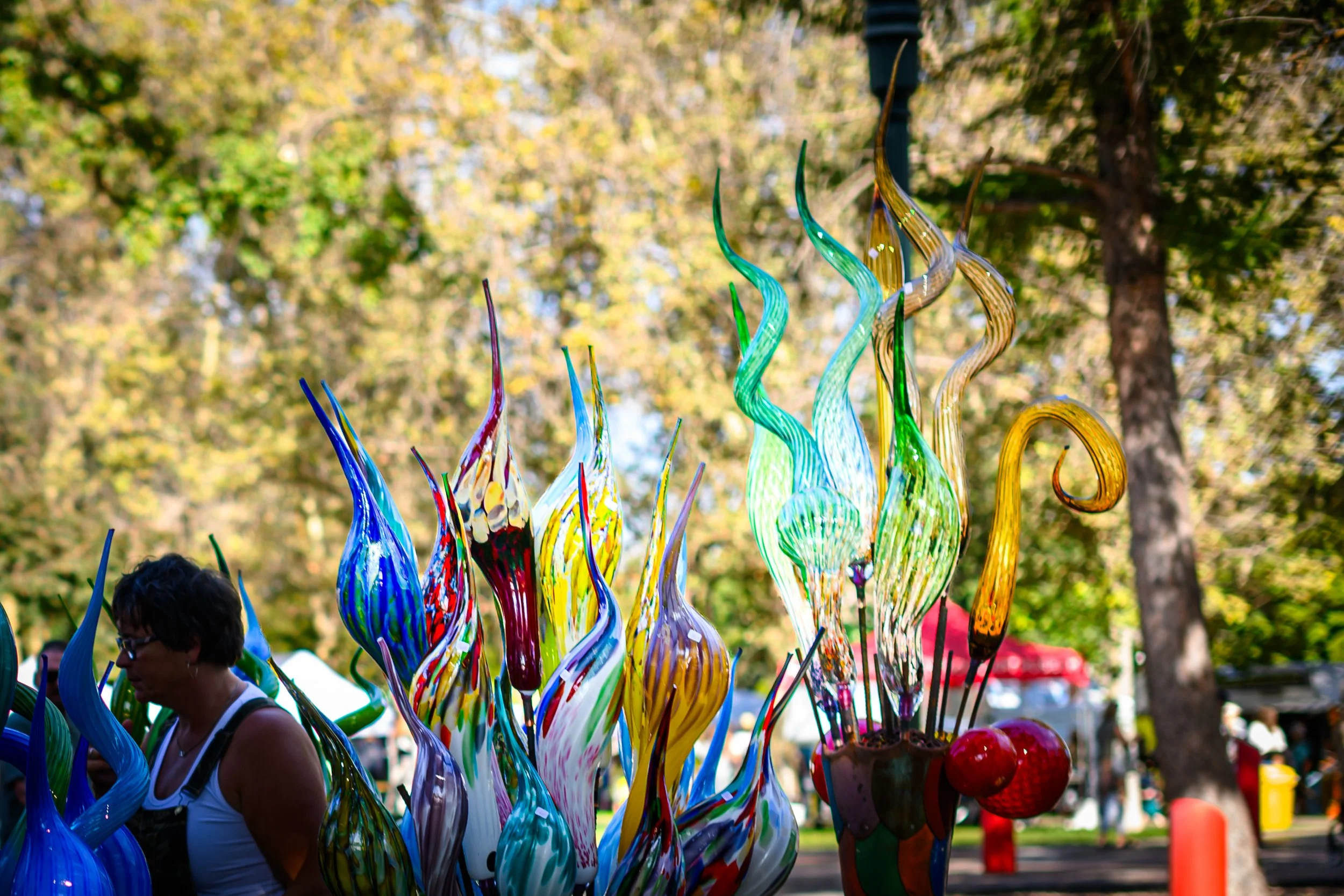 DSC_8813.jpg