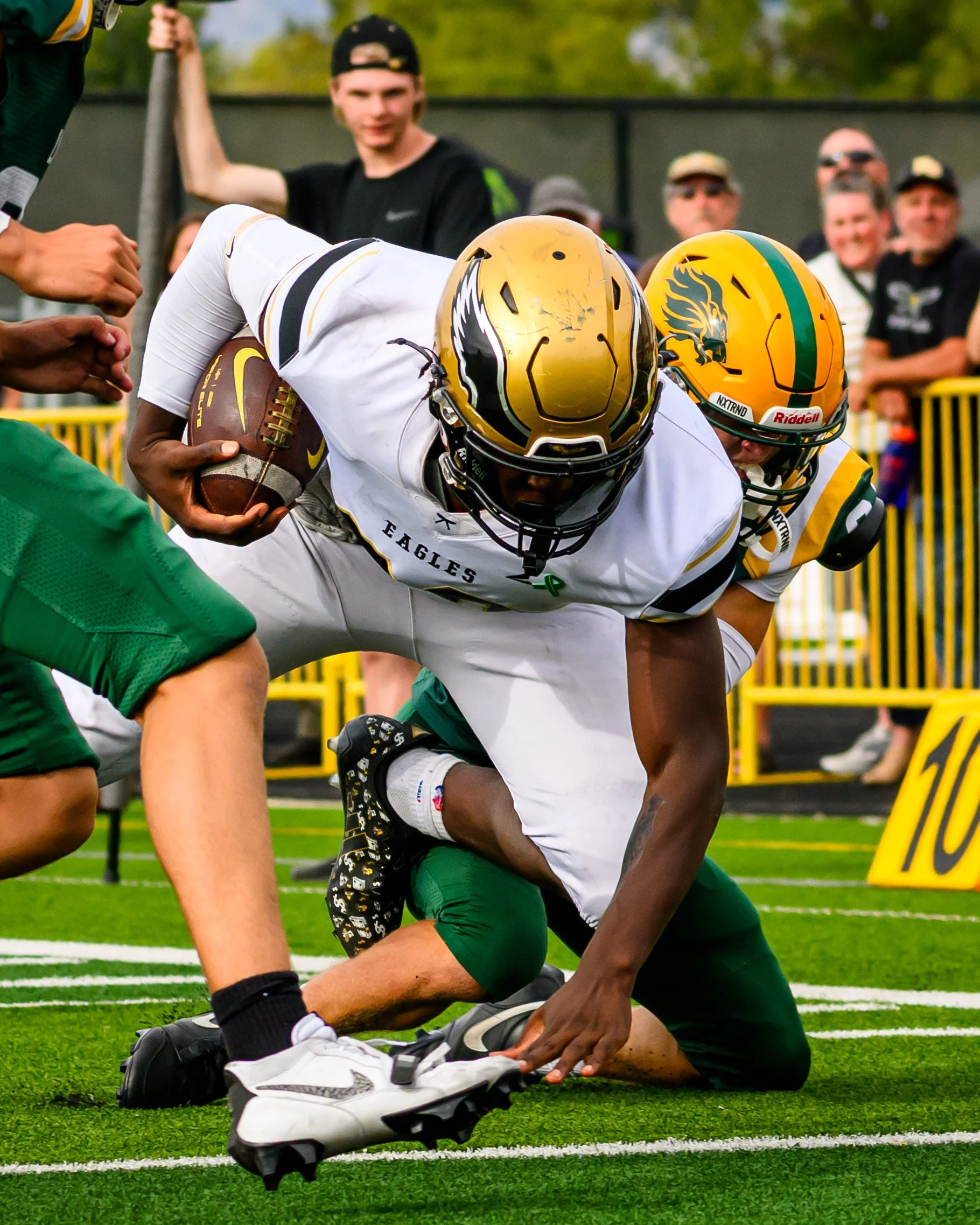 DSC_3166.jpg