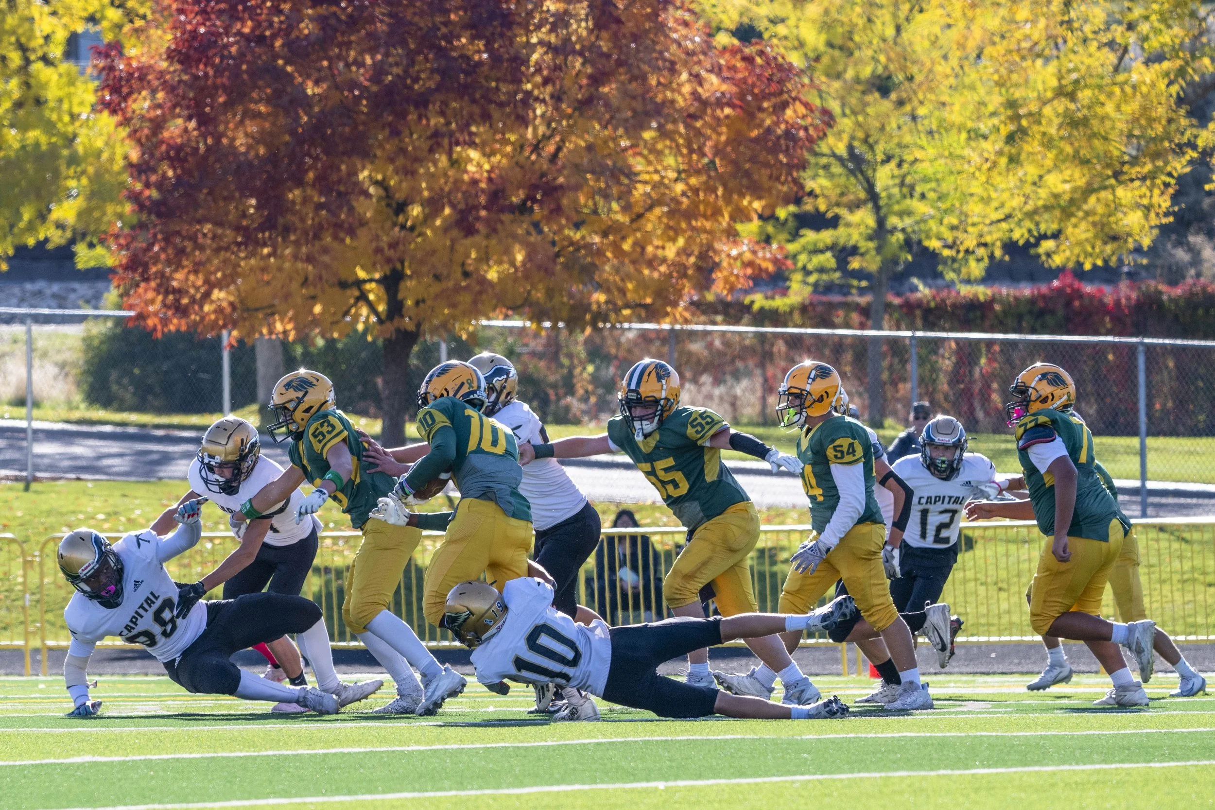 DSC_3177.JPG