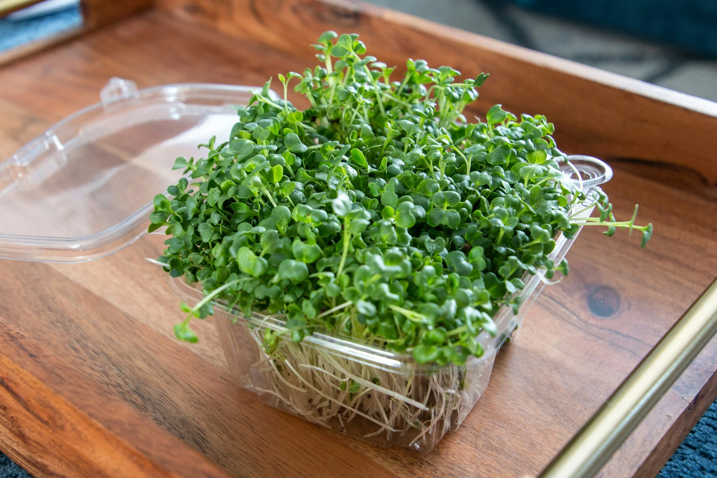 Fresh green microgreens in a clear plastic container on a wooden surface.