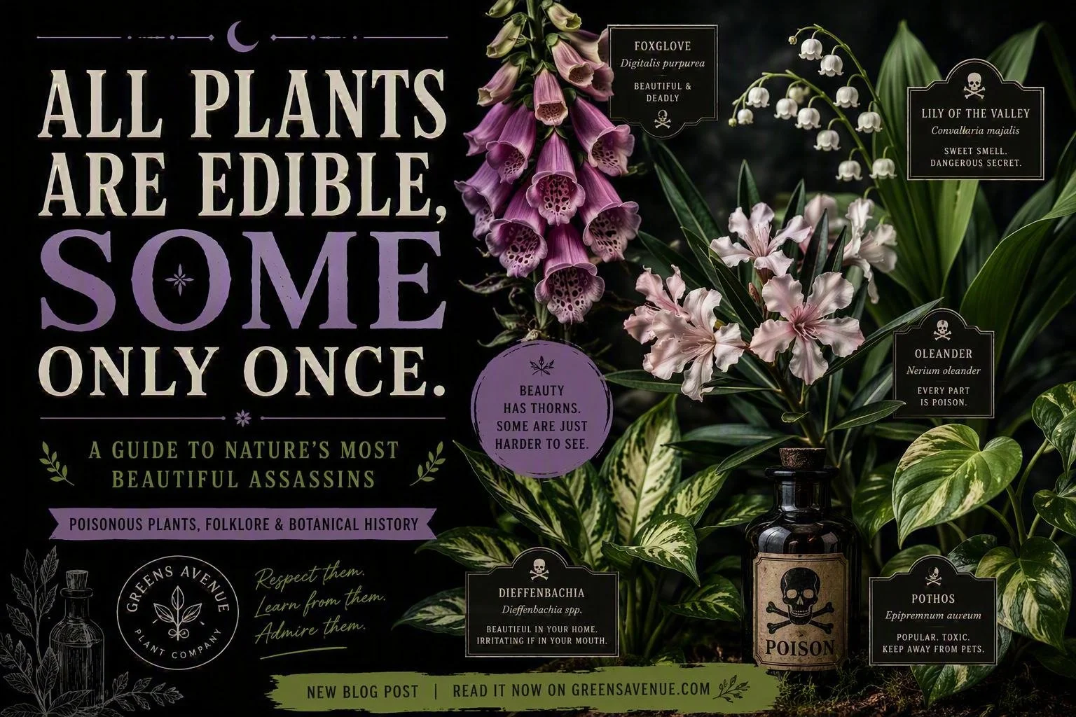 All Plants Are Edible, Some Only Once