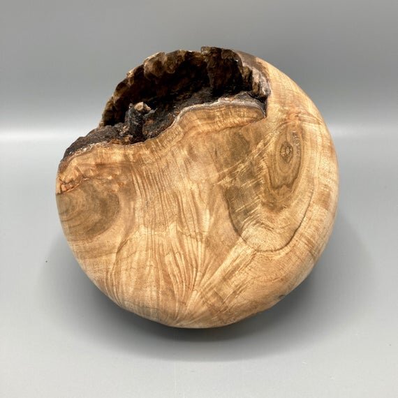 https://i.etsystatic.com/16831323/r/il/558a49/2795674923/il_570xN.2795674923_8snd.jpg
