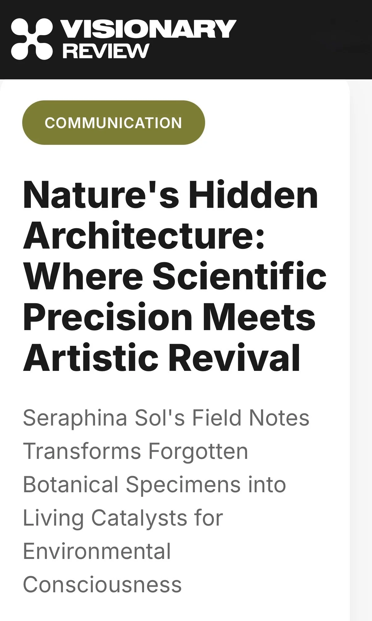 Seraphina Sol, Artist Feature in Visionary Review. November 2025.