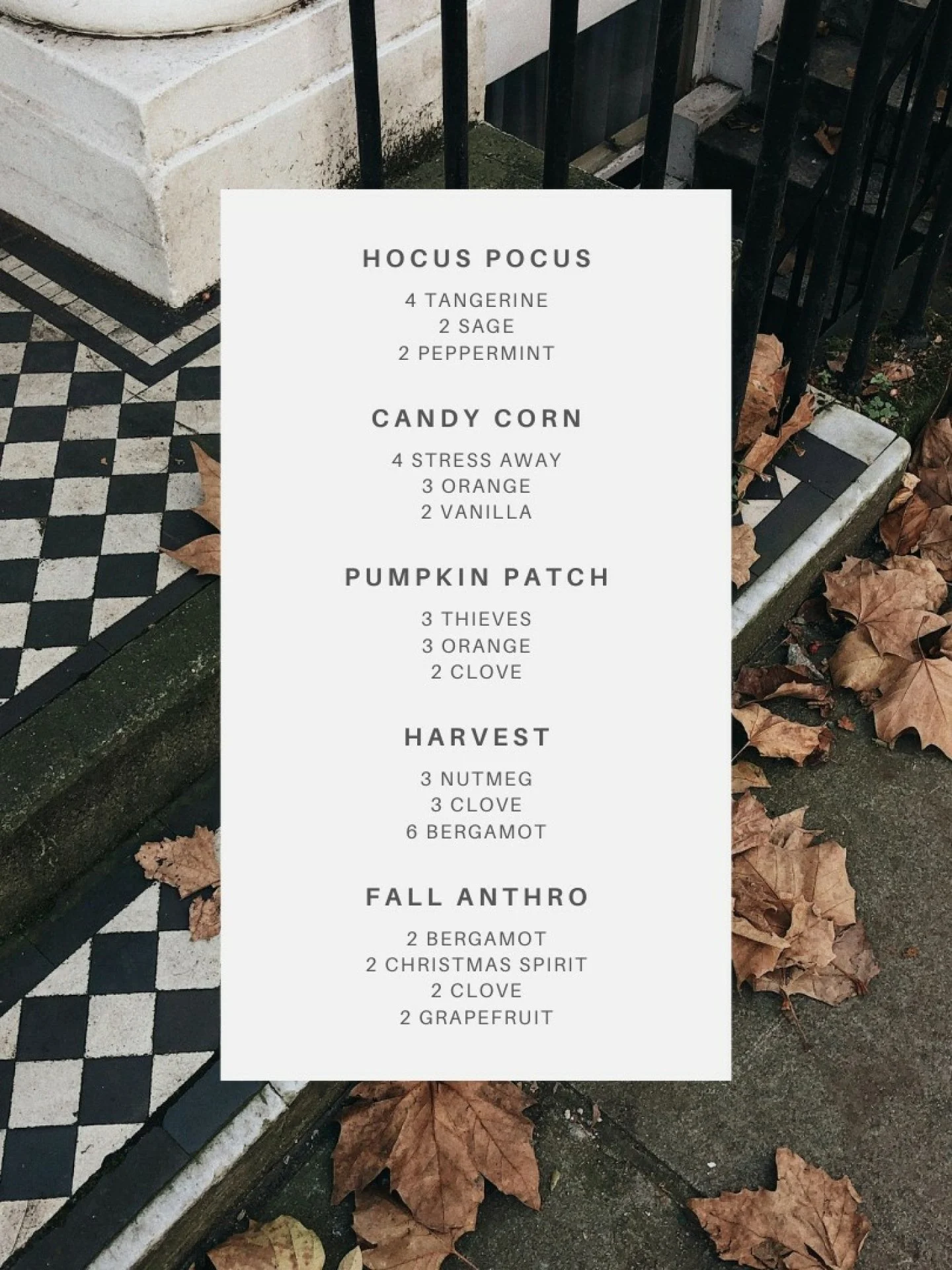 Happy Halloween!! 🎃✨👻
With all the extra sweet treats around, keep this tip handy: Tummygize and Digize are your best friends! 👏 
I love popping a roller fitment right on a bottle of Tummygize and rolling it over bellies before bedtime - it&rsqu