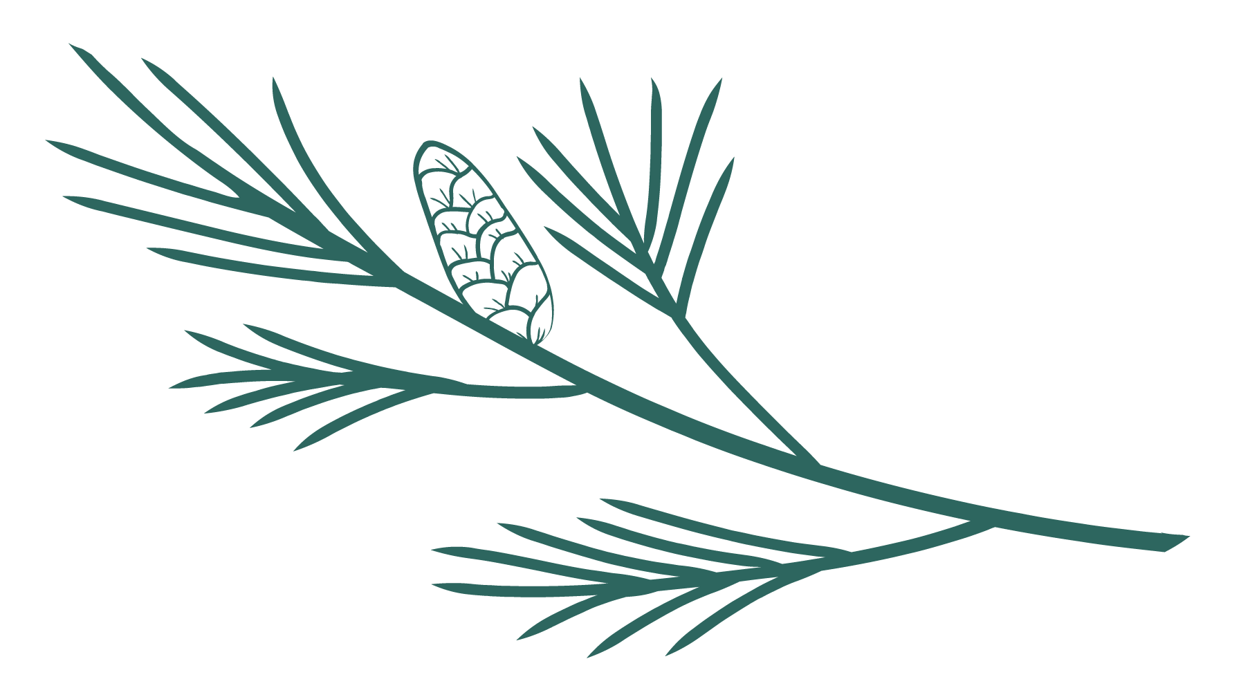 Pine Needle Green 1-8.png