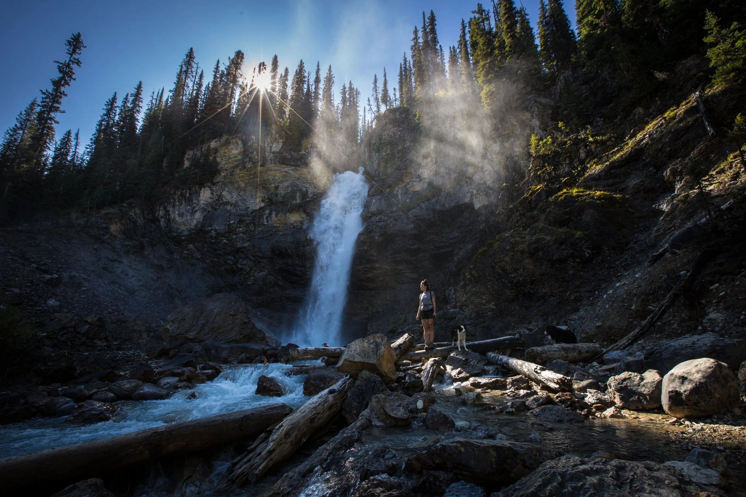Tavel Alberta
