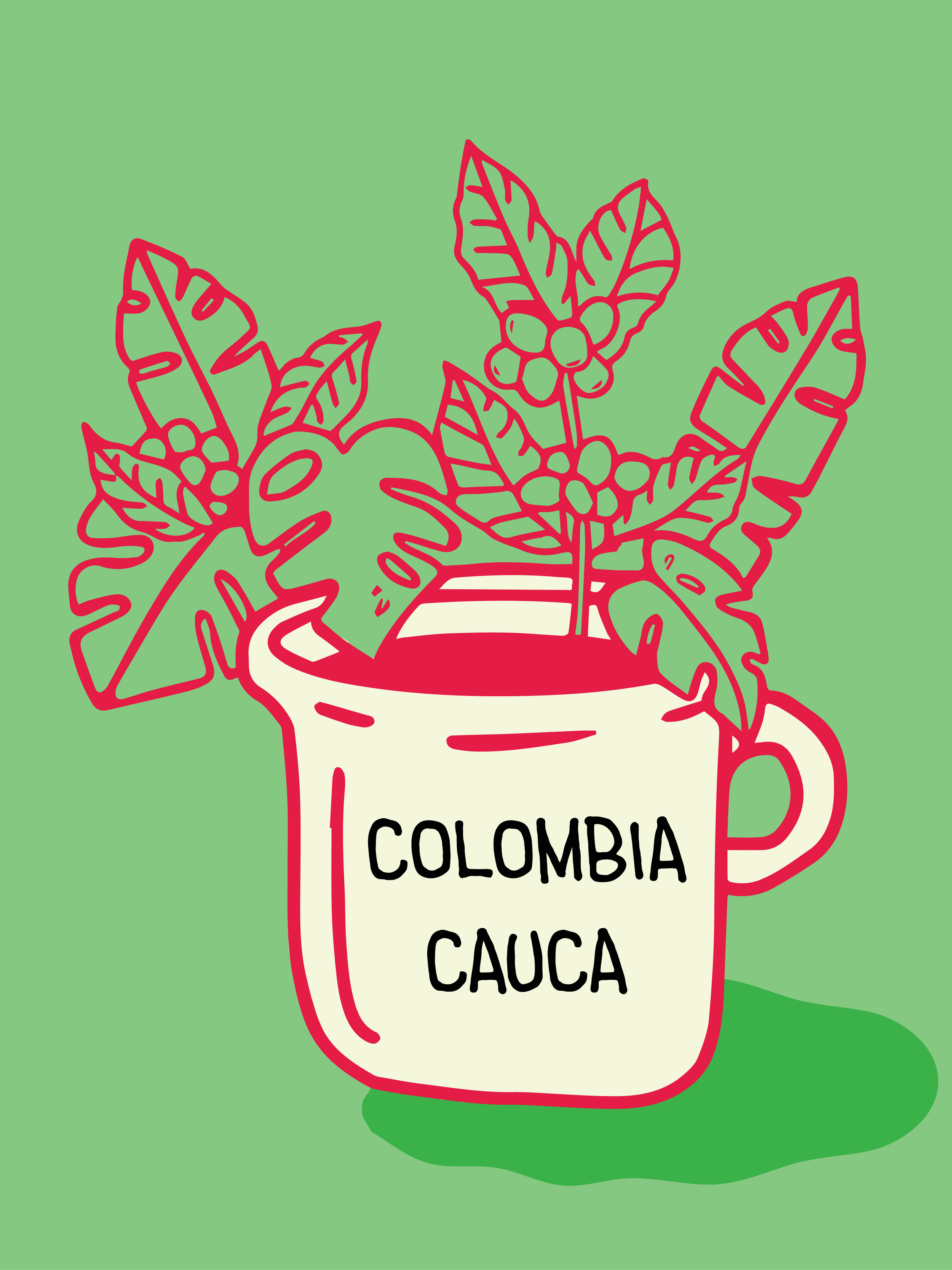 Colombia Cauca Popayan Honey Processed - 5lb