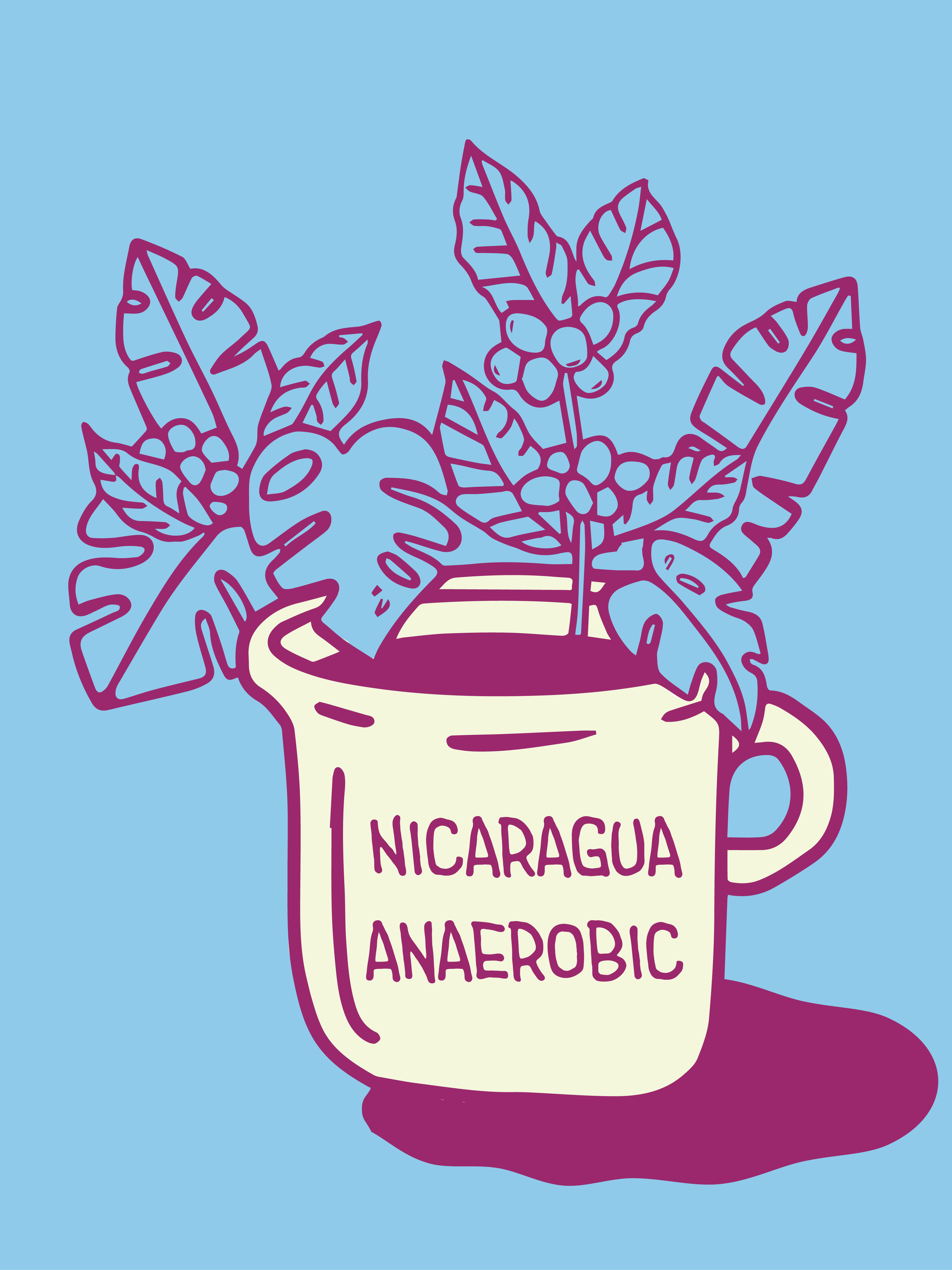 Nicaragua Anaerobic