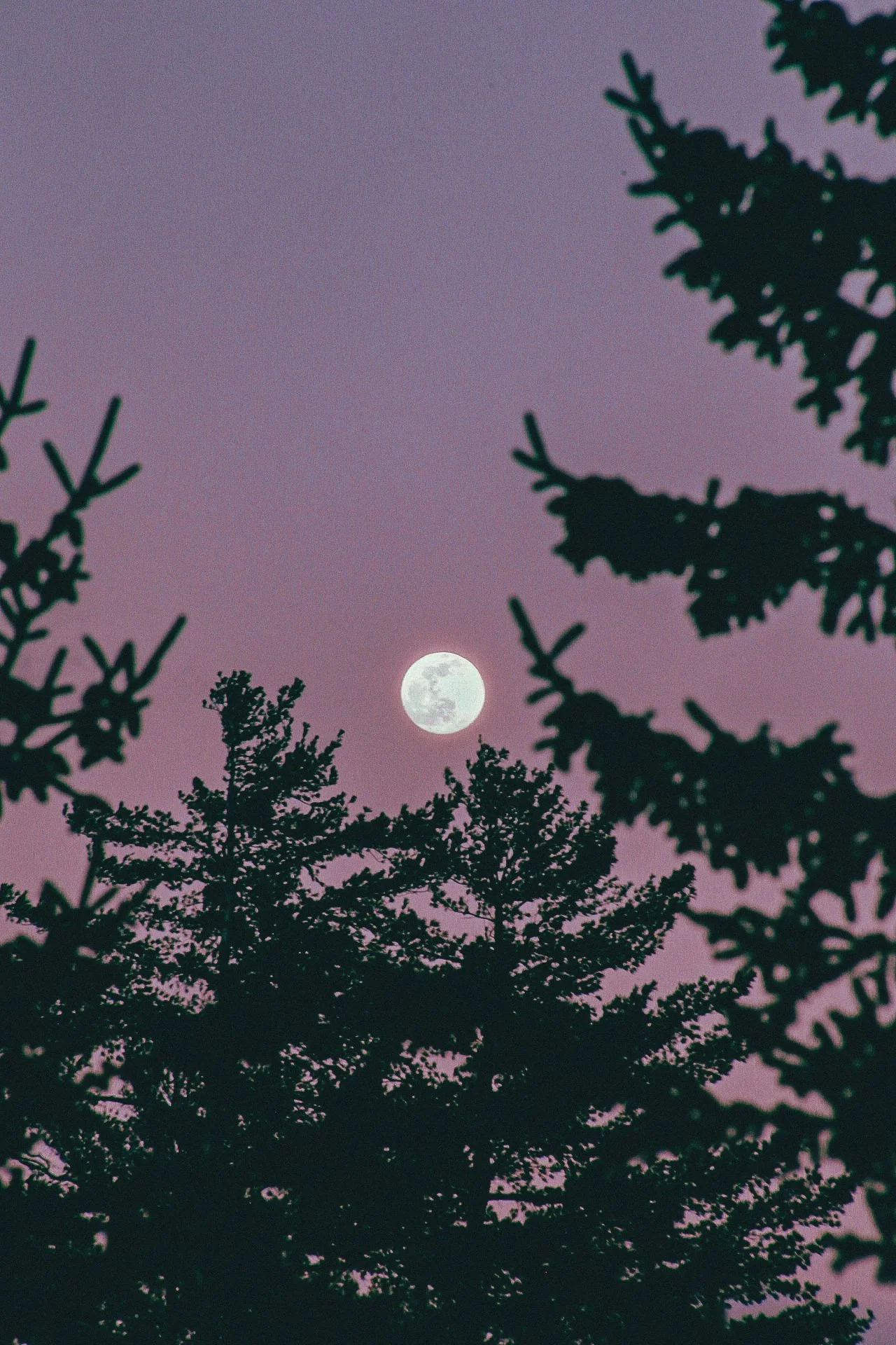 Moon at Sunset — Sam Avery Media