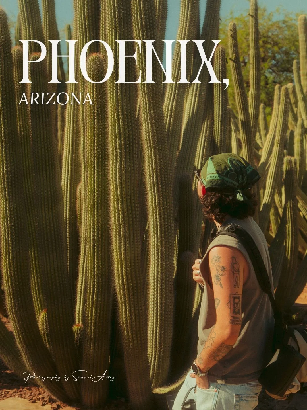 Trip to Phoenix, Arizona