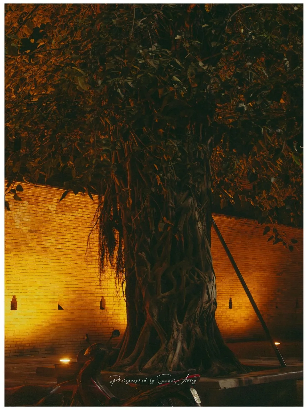38.jpg