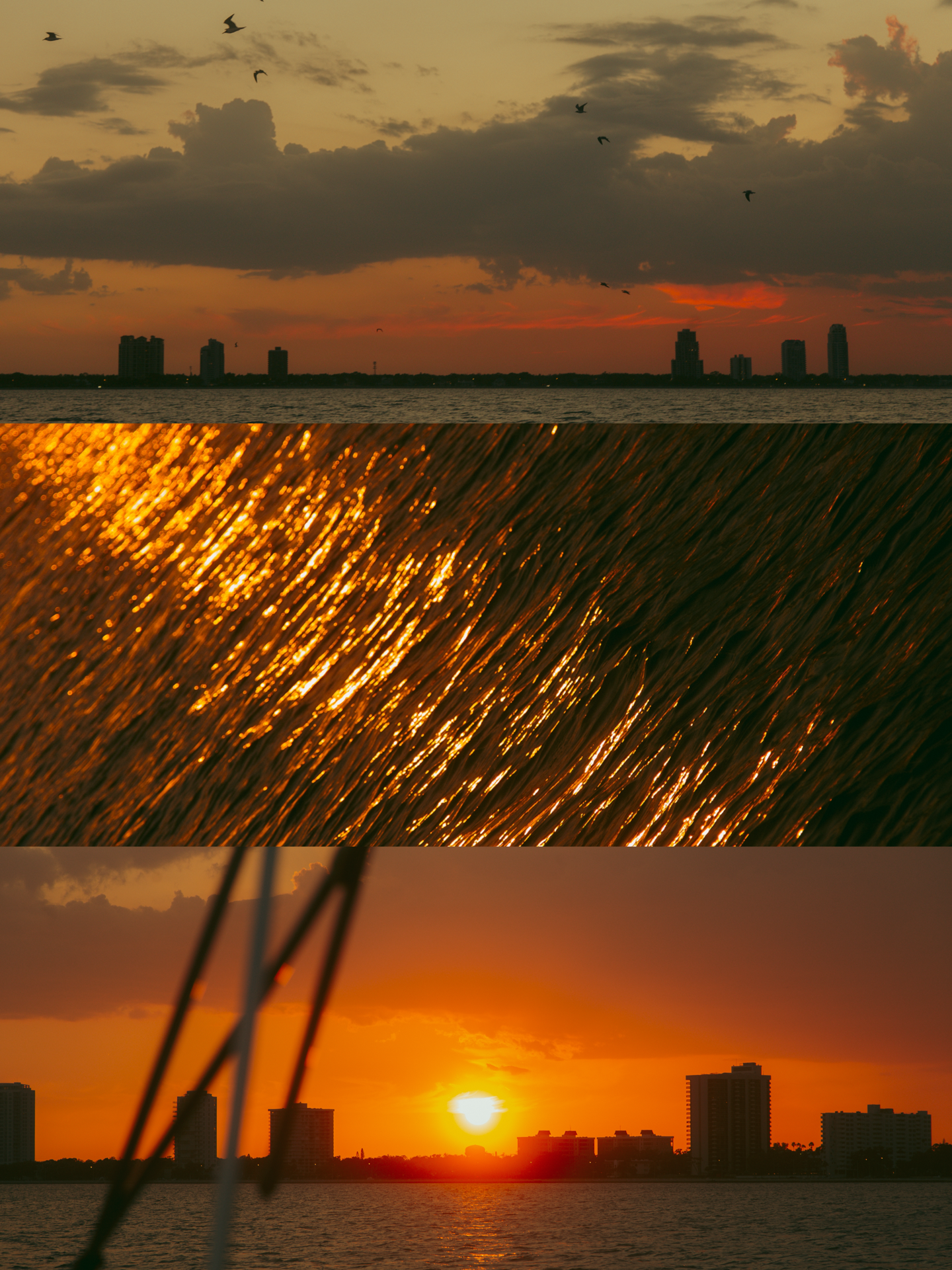 9F8670A5-D0CD-499E-A738-CA00E23CCE6E.PNG