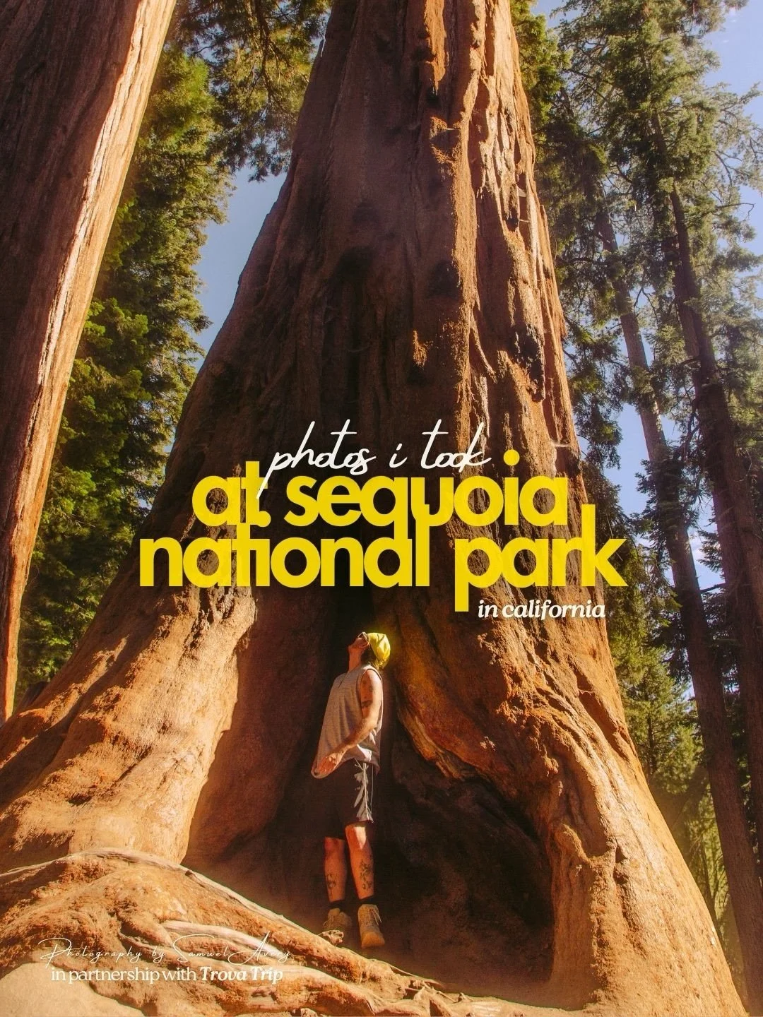 📍sequoia national park, california 

&mdash; if you like trees, you should keep swiping&hellip; i was honestly jaw dropped behind my lens during this entire walk. only way i knew how to look was up. these trees were massive. i genuinely felt so smal