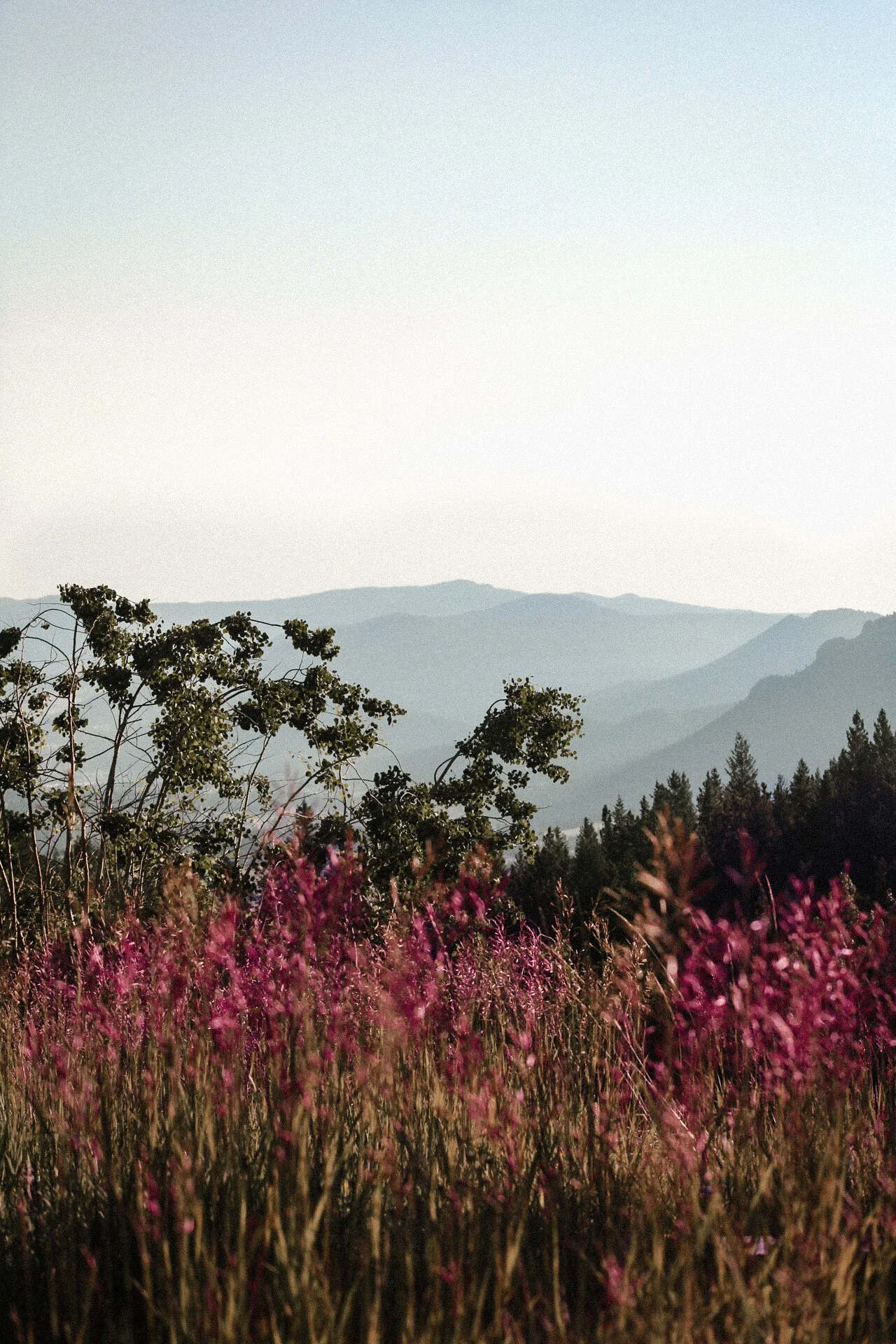 Rocky Mountain National Park