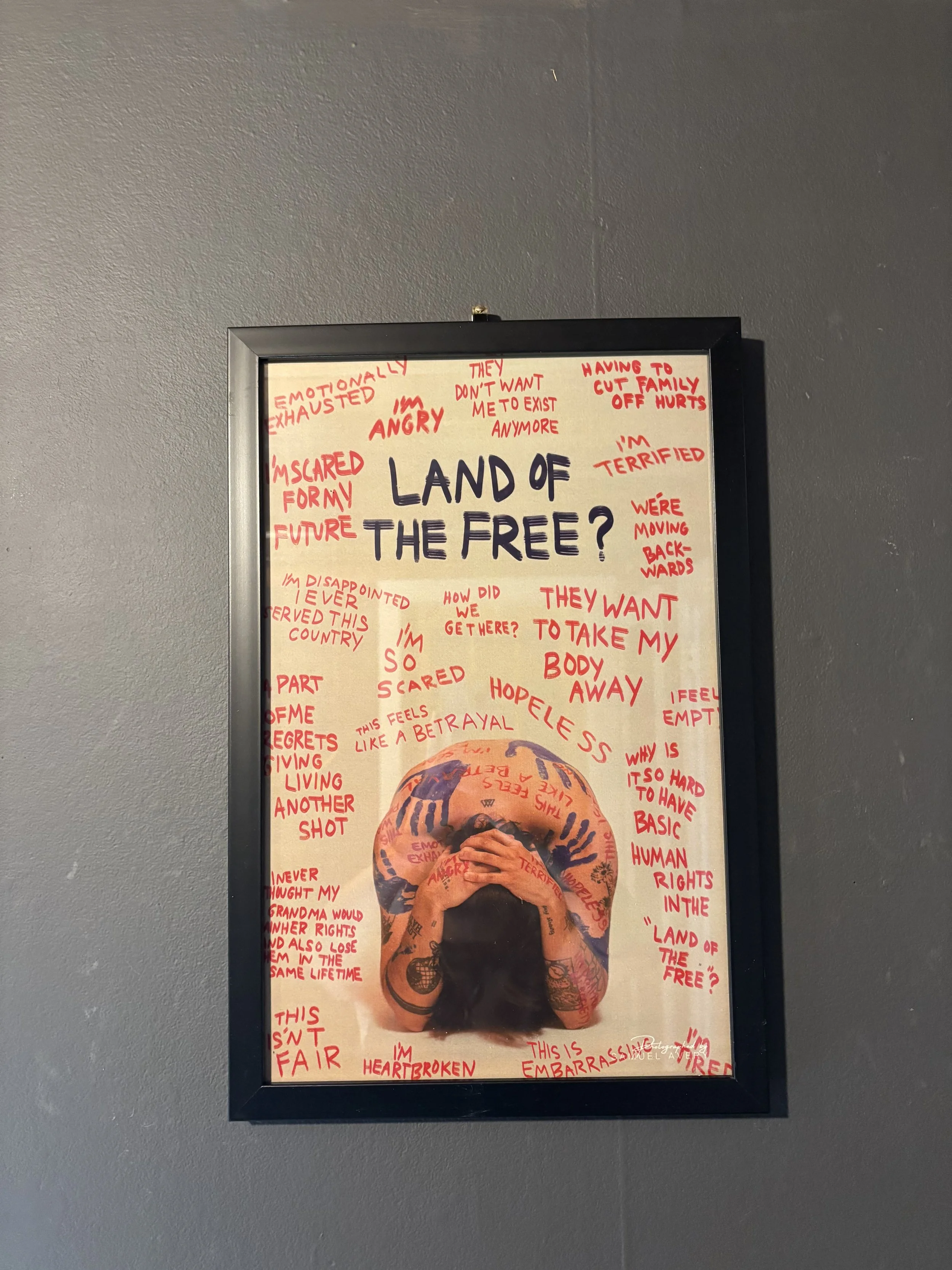 "Land of the Free" Framed Print