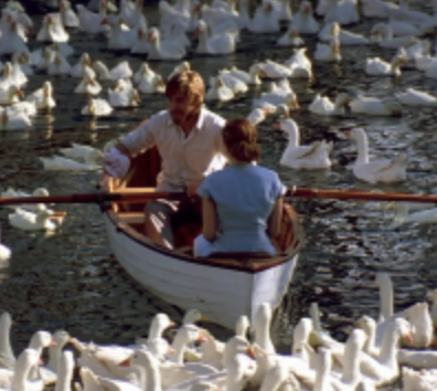 Screenshot 2025-01-29 at 10.47.19 PM.png