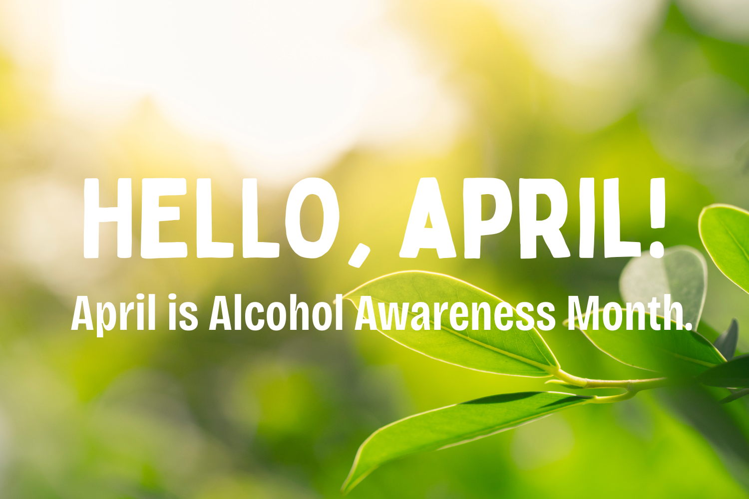 April is Alcohol Awareness Month: Balance &amp; Safety