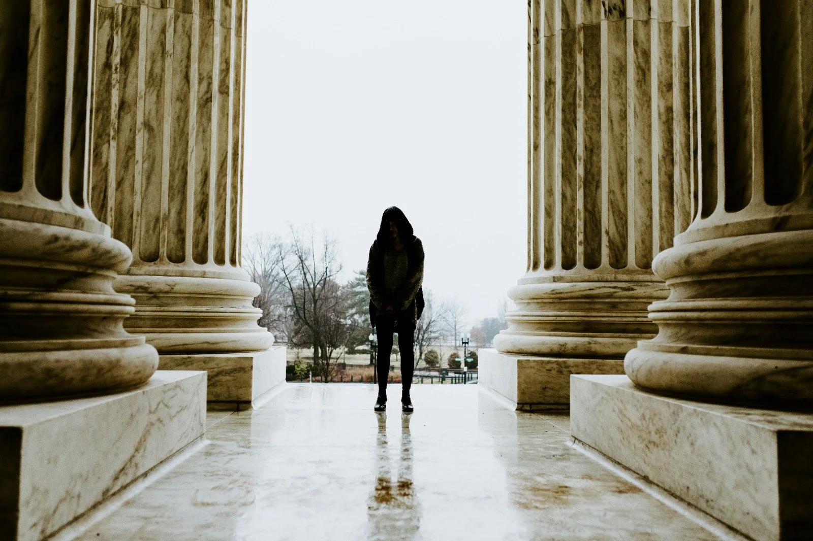 Therapy for Women Moving to DC: When Starting Over Feels Harder Than Expected