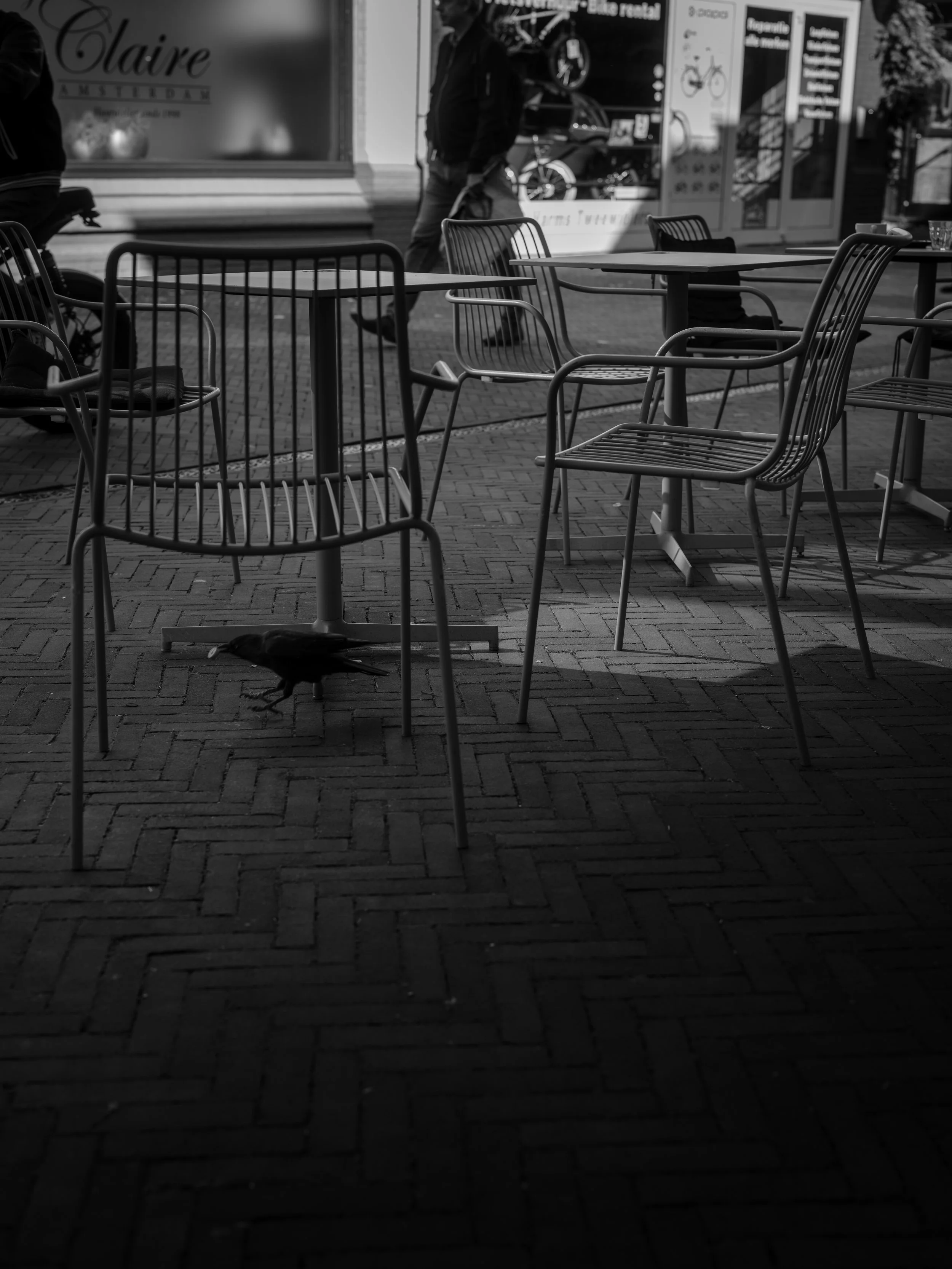 Loneliness or Depression? How to Tell What You’re Experiencing