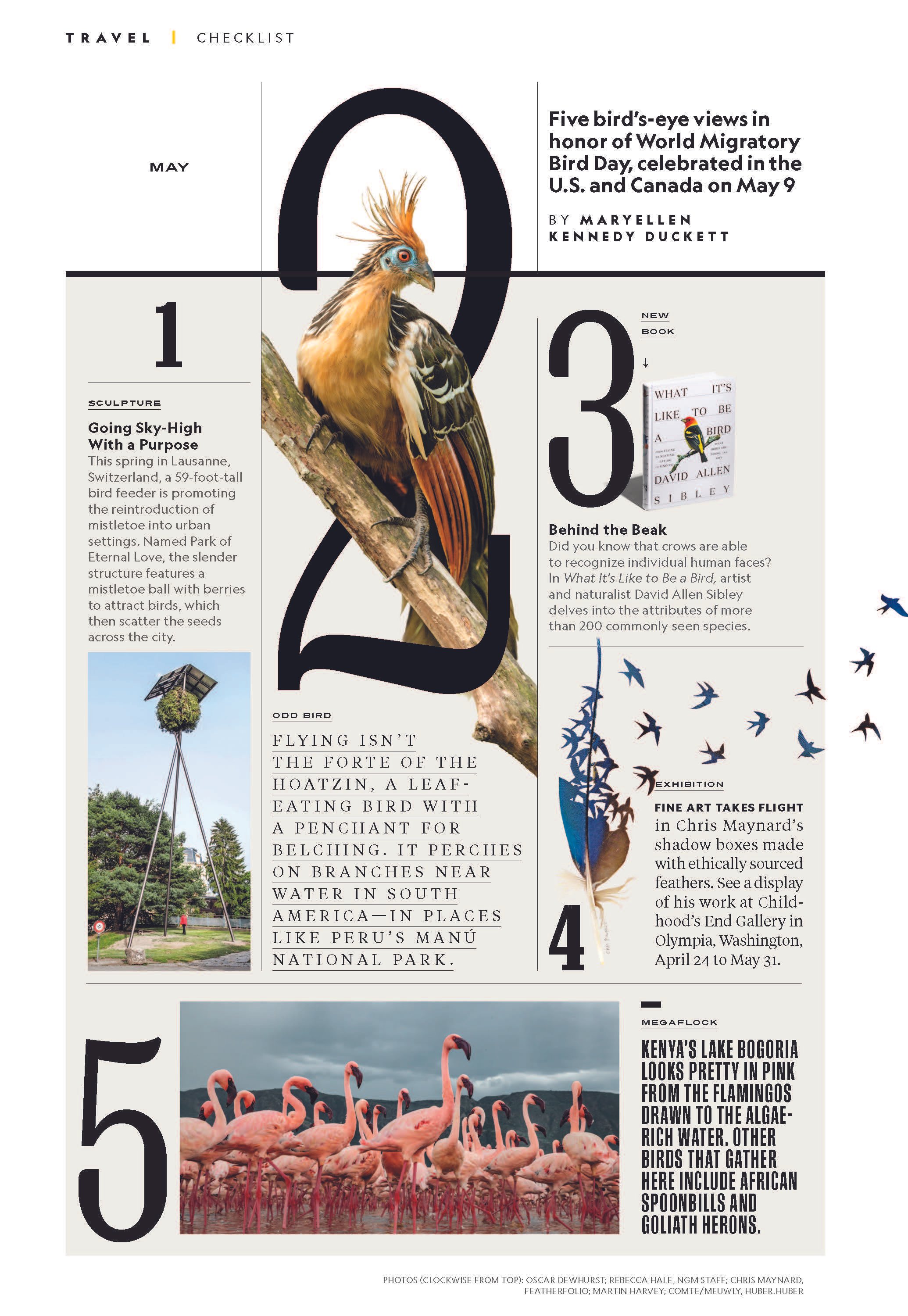 TR CK Birding [P];14_SnNB.jpg