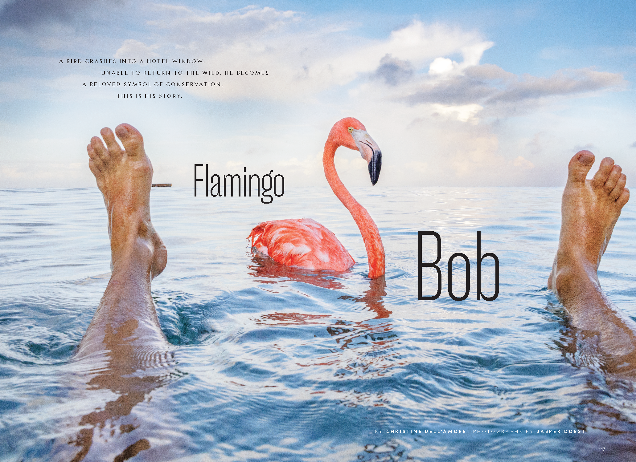 Flamingo Bob MM9220_Page_1.png