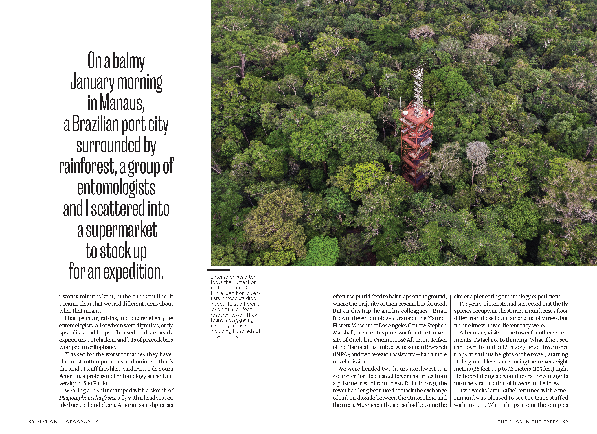 Amazon Insects_MM9209_Page_3.png