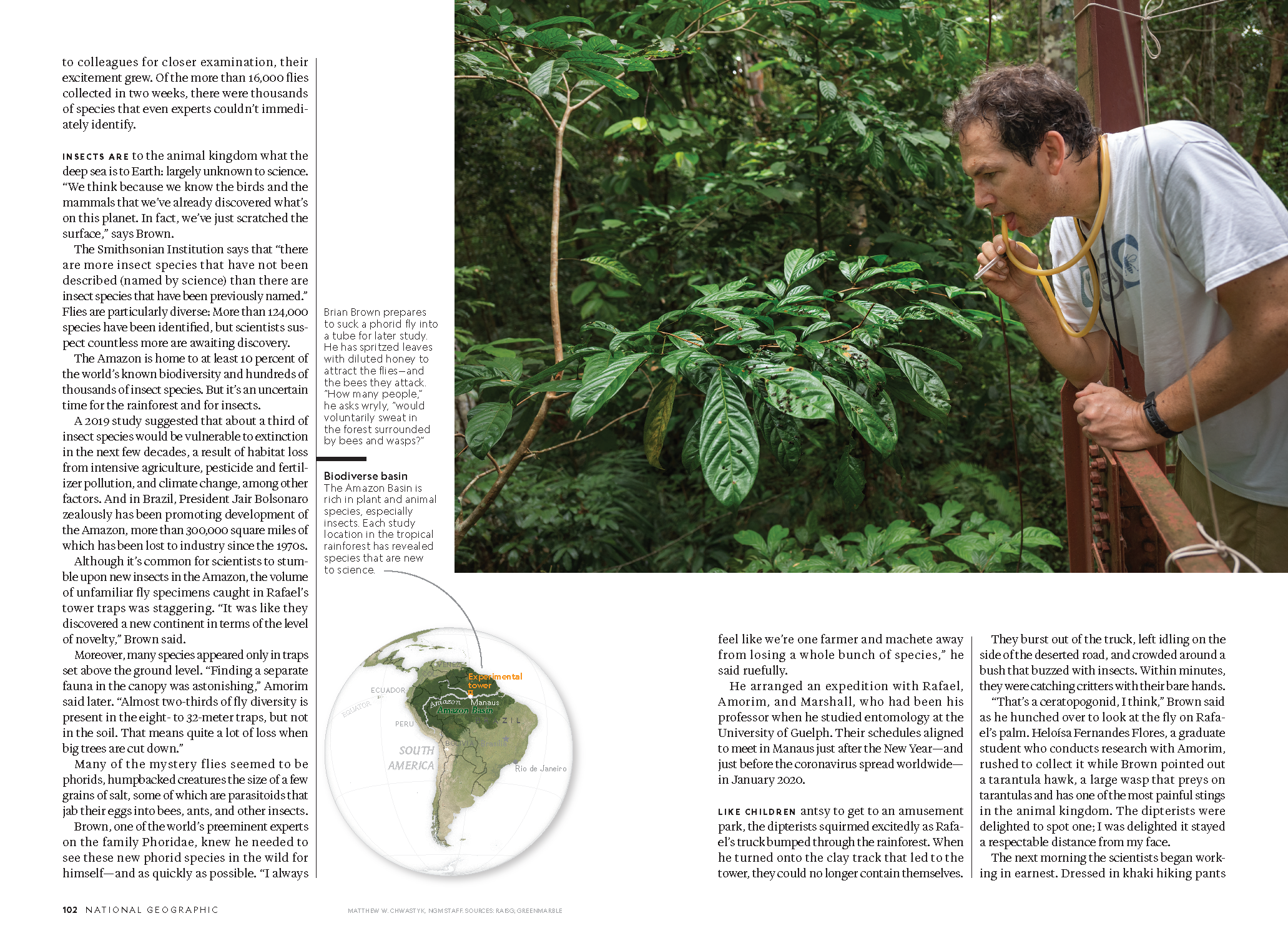 Amazon Insects_MM9209_Page_5.png