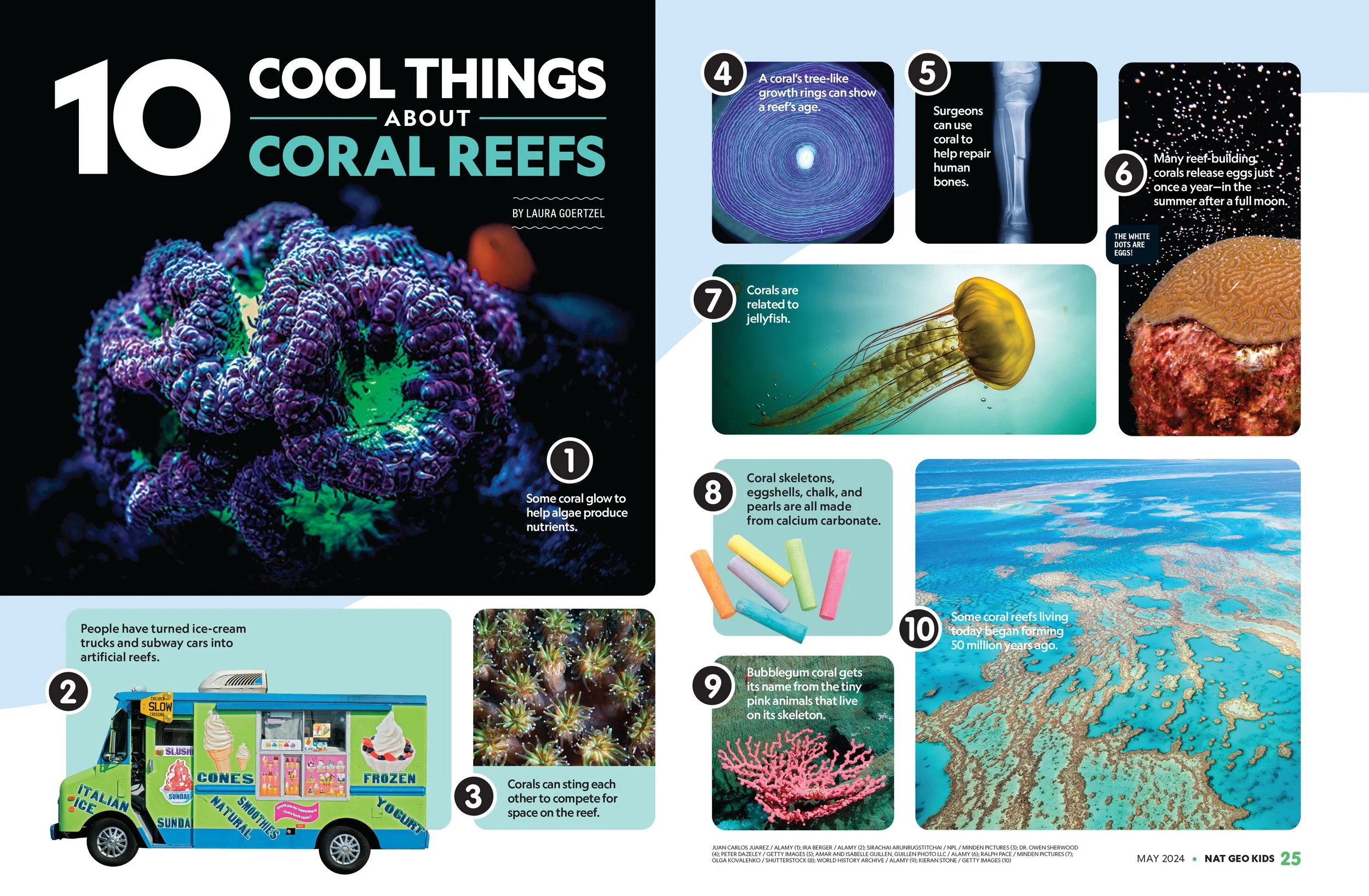 NGK-MAY-24-10-Cool-Things-Coral-Reefs_FINAL.jpg