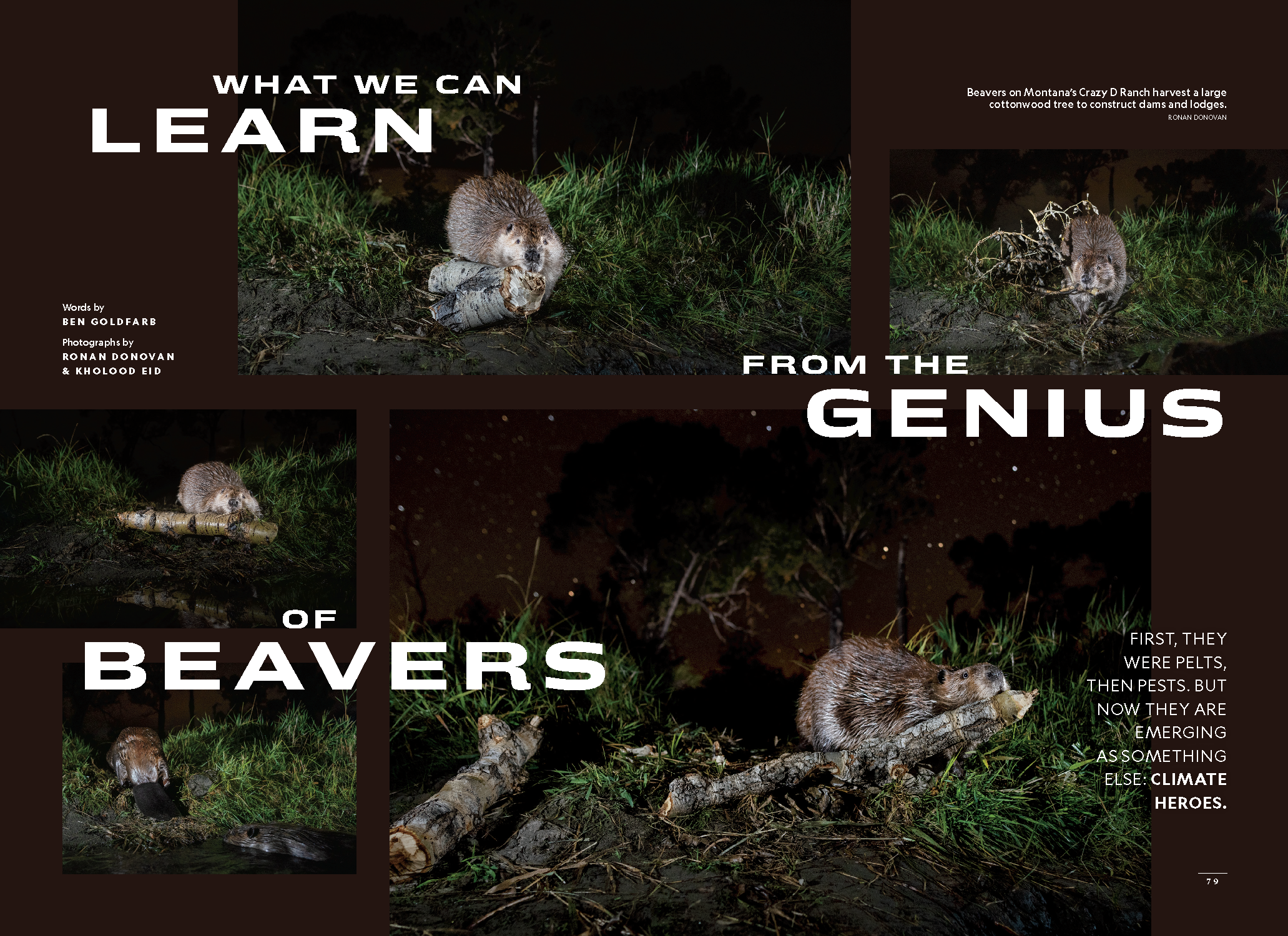 Beaver to the Rescue_Page_01.png