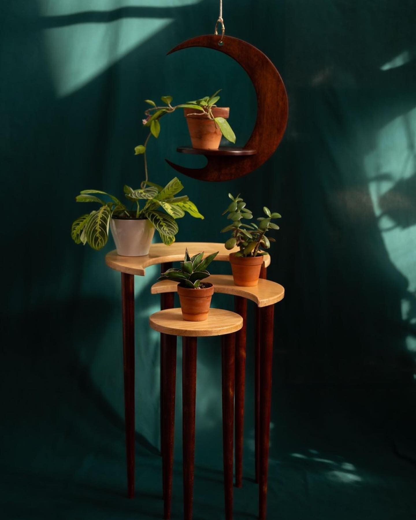 Get the perfect set for less, save when you buy a hanger and stand bundle! 
.
.
.
.
#planthanger #plantstand #plantstyling #plantdecor #plantdesign #houseplants #indoorgarden #woodenfurniture